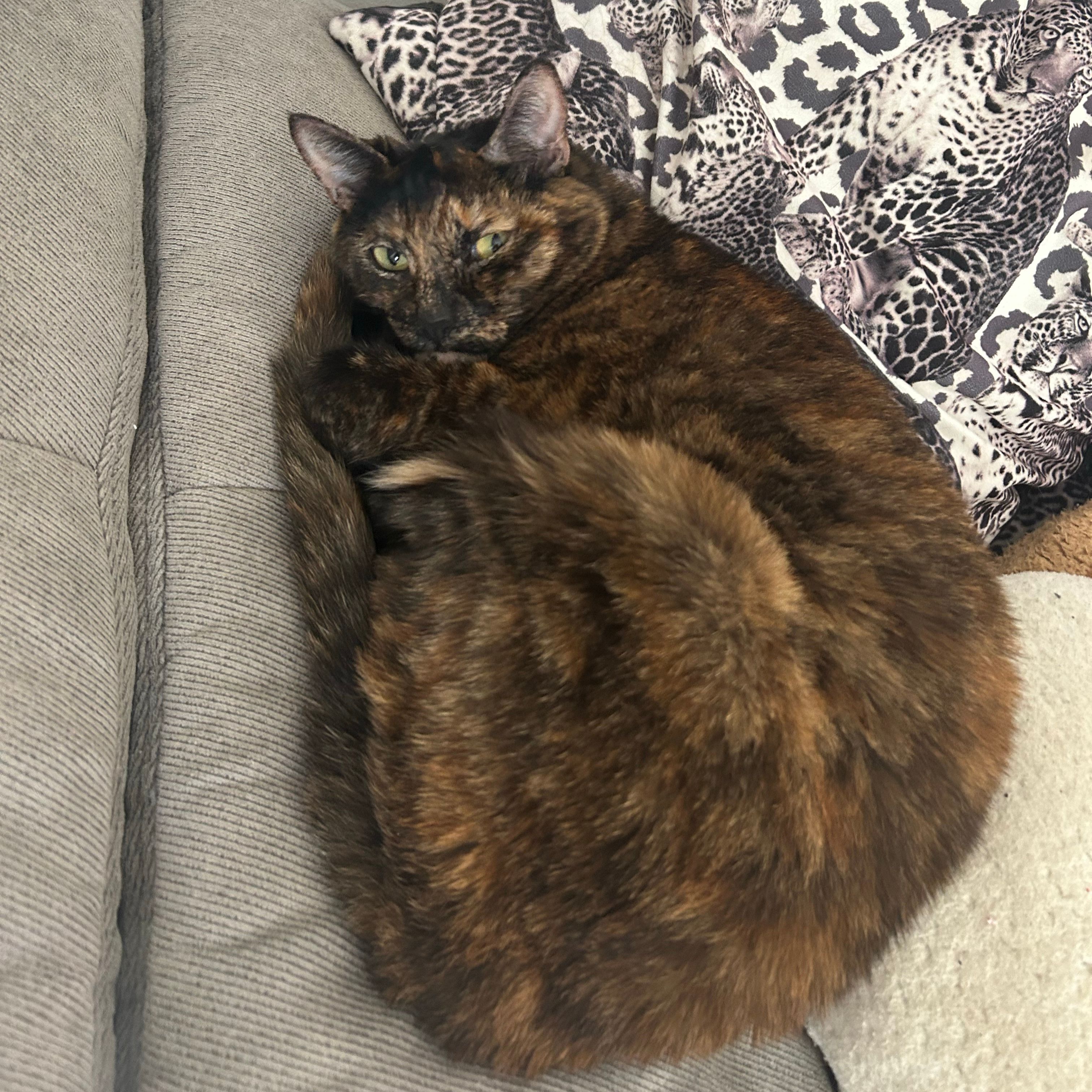 Nala