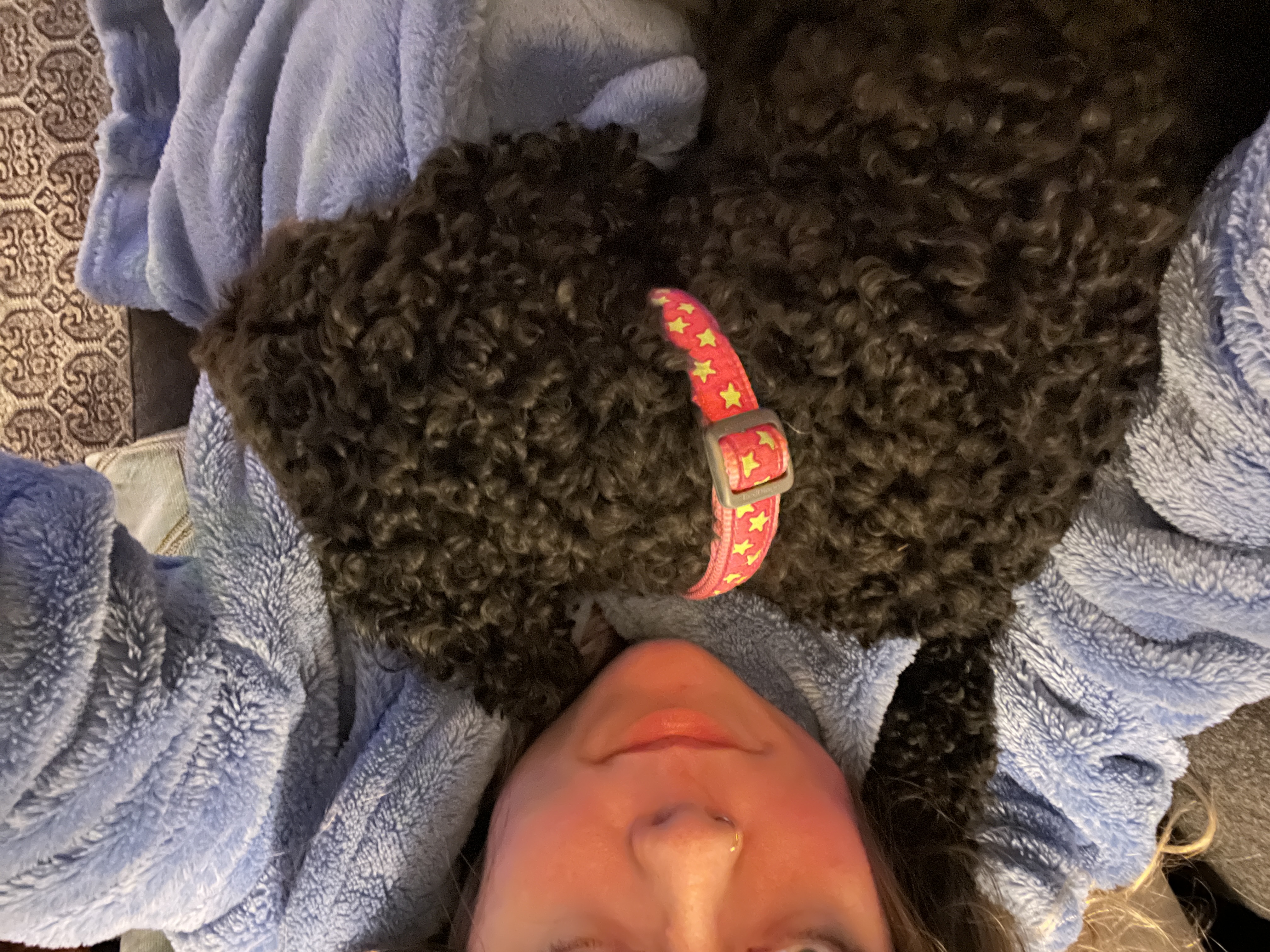 image-6