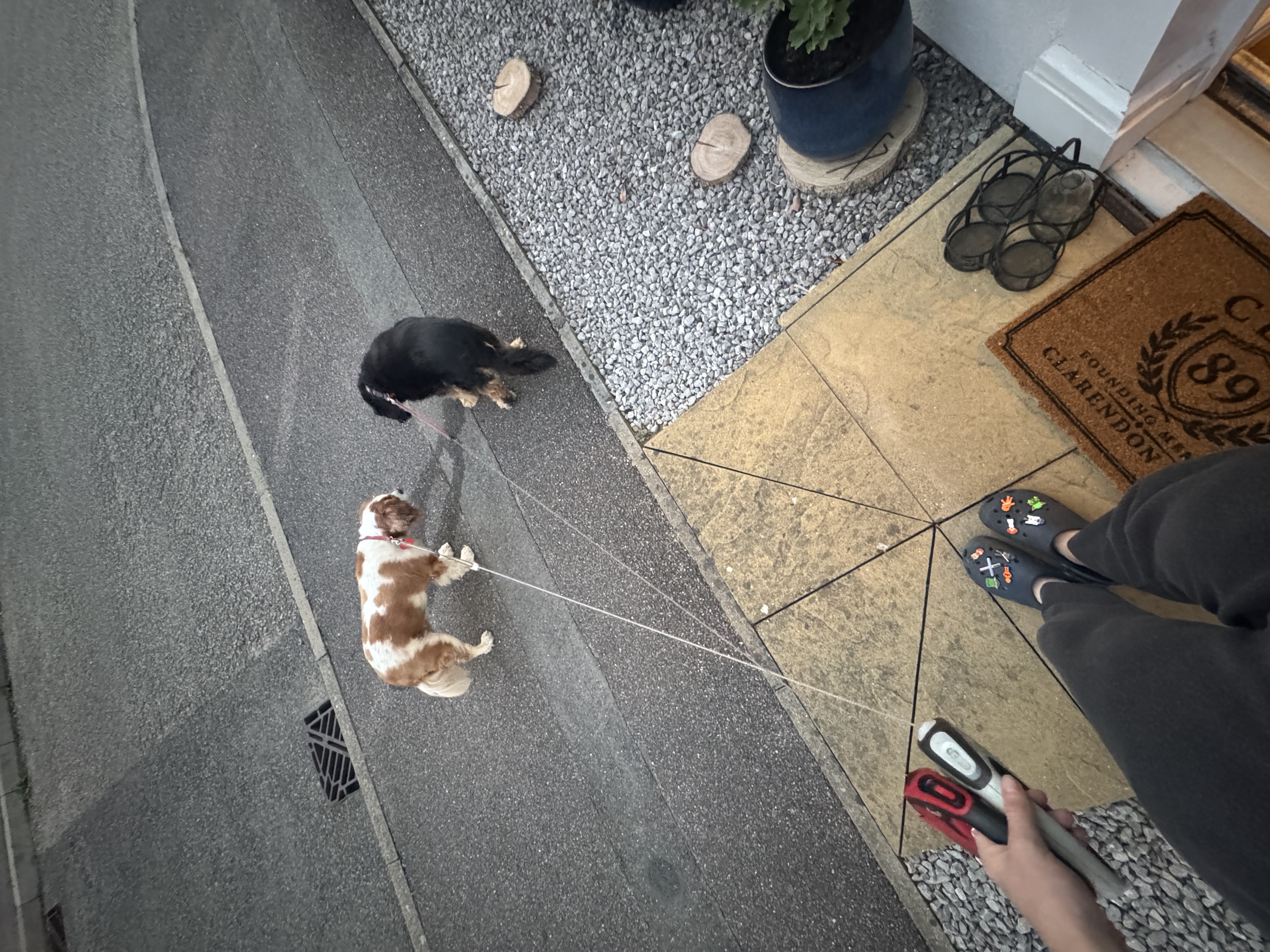 image-3