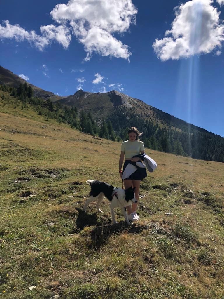 image-7