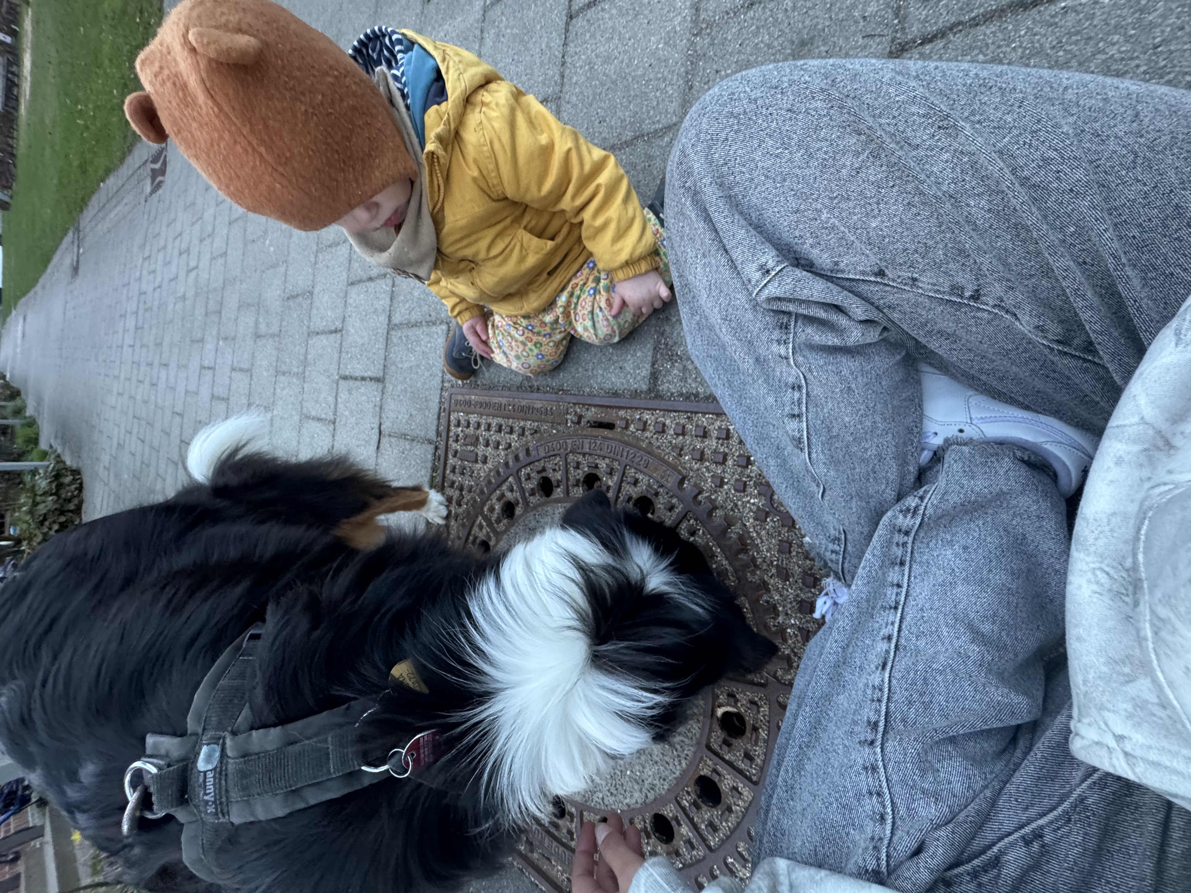 image-13