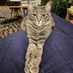 Linus