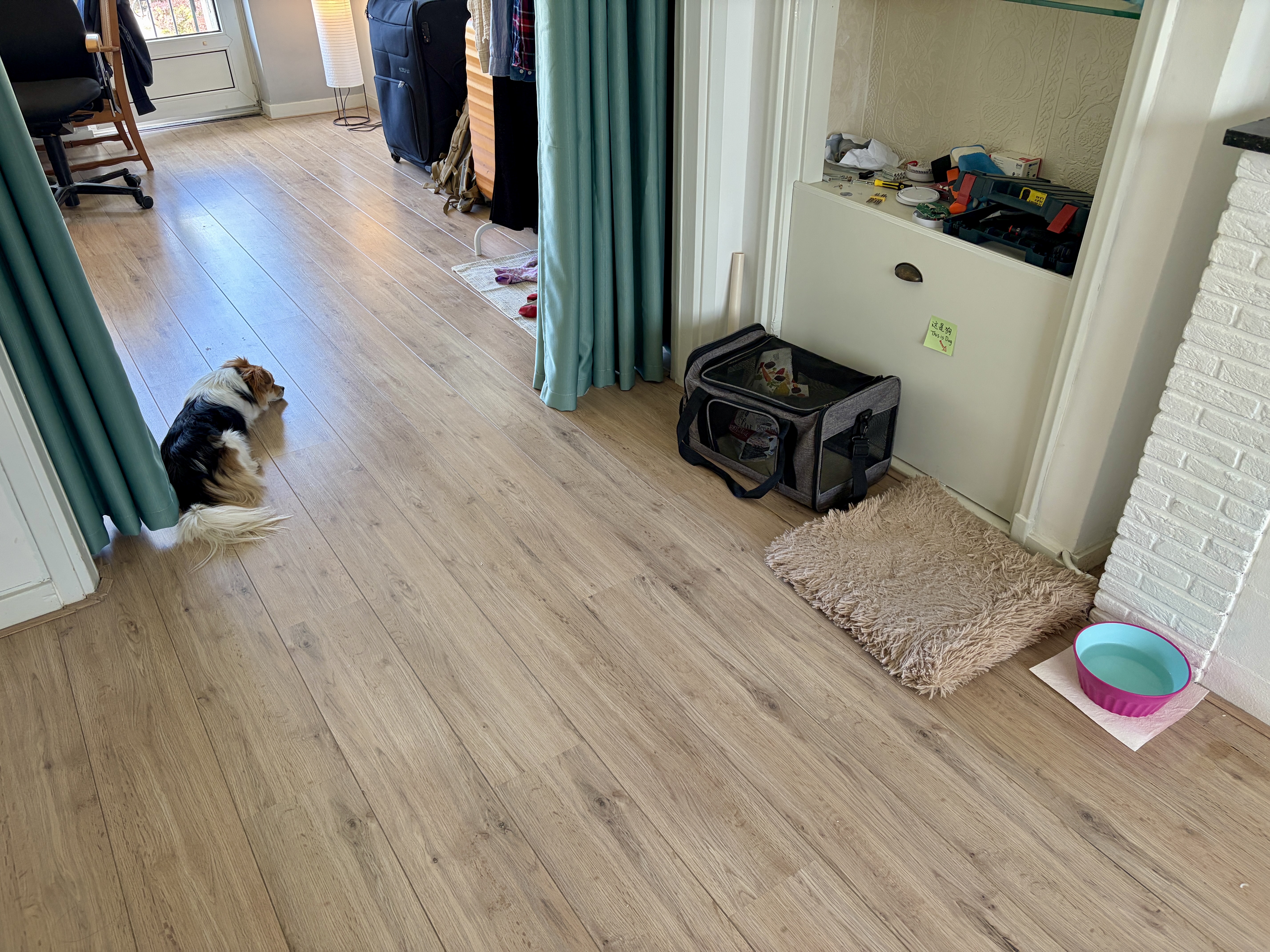 image-10