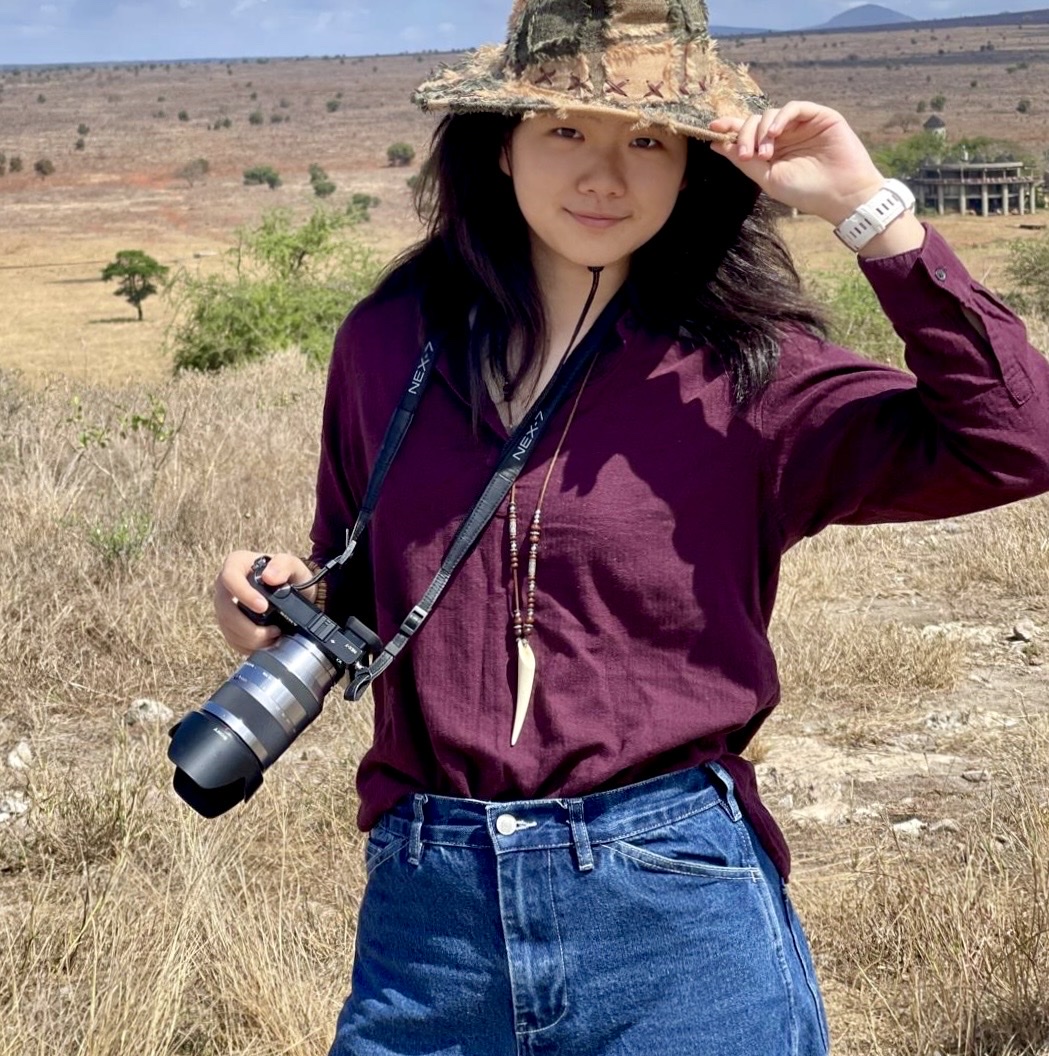 image-6