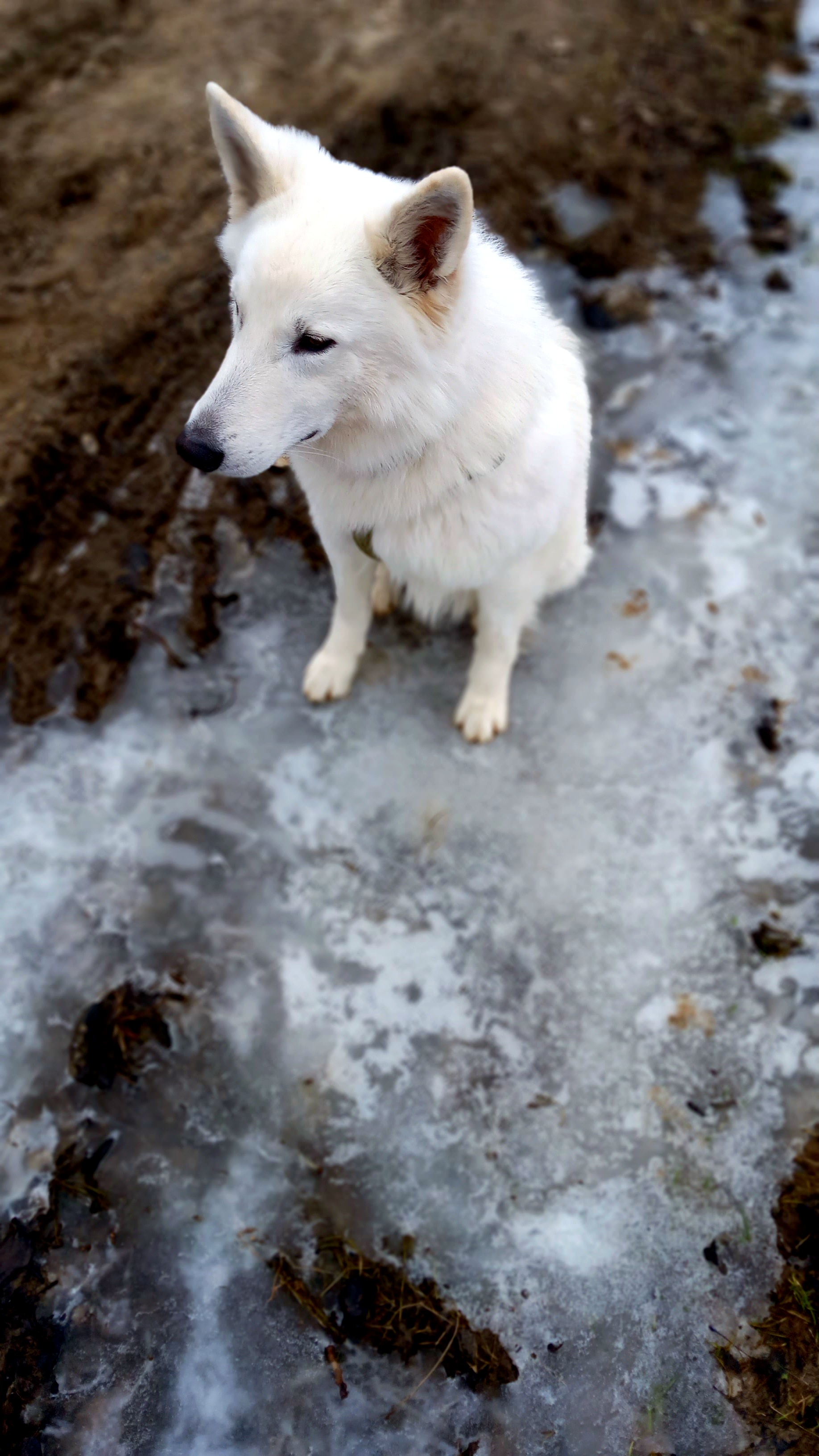 image-5