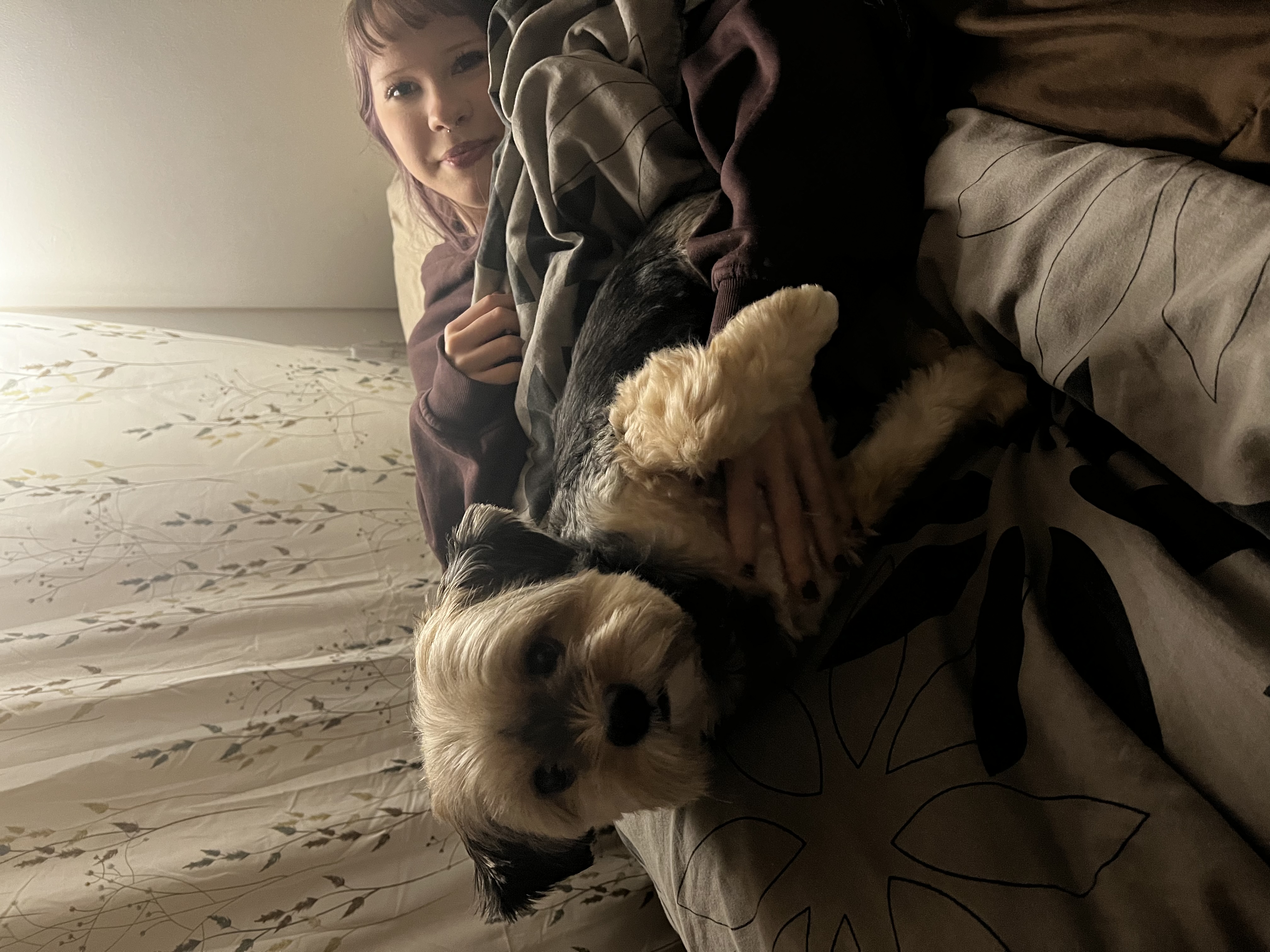 image-11