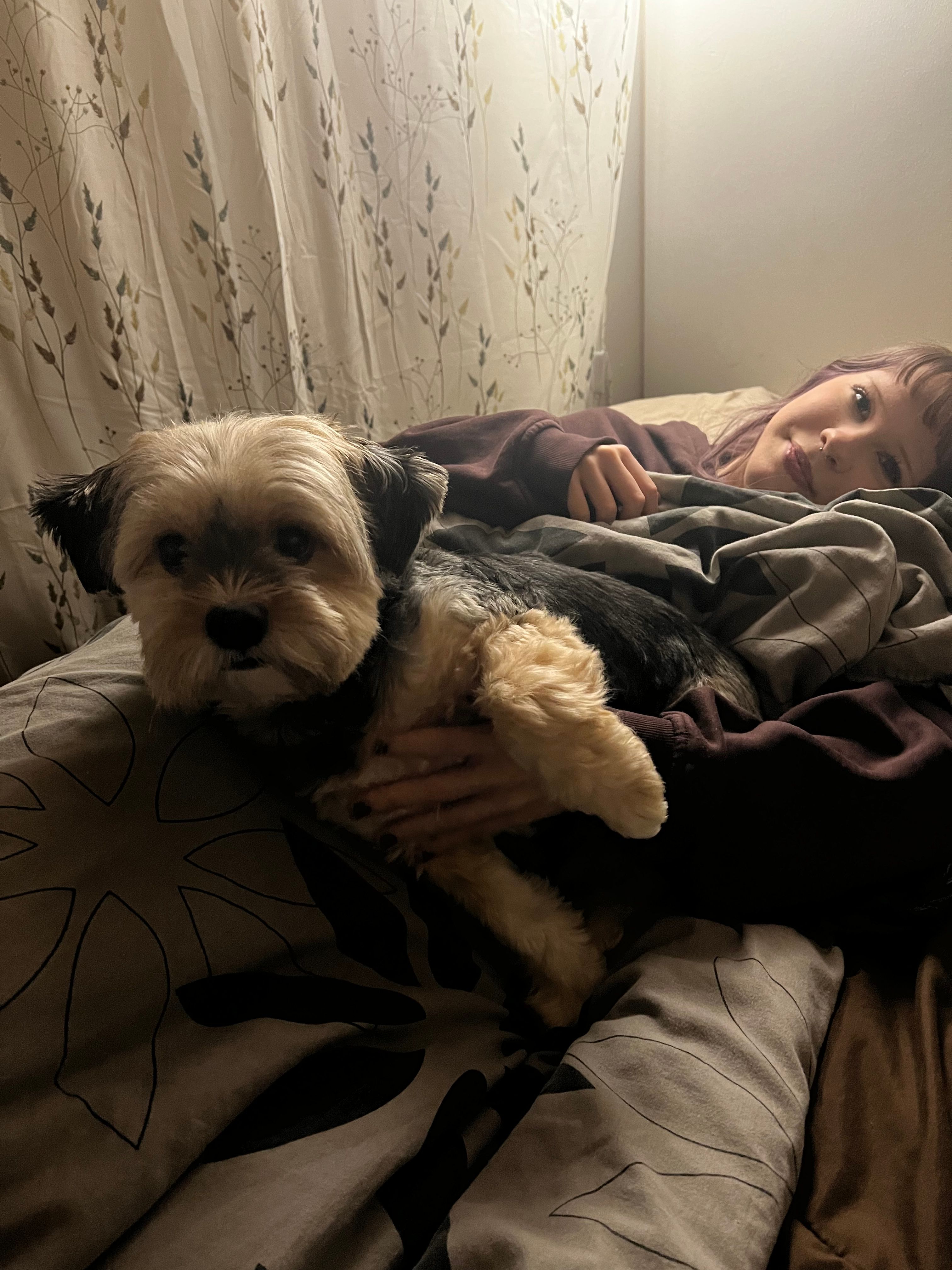 image-11