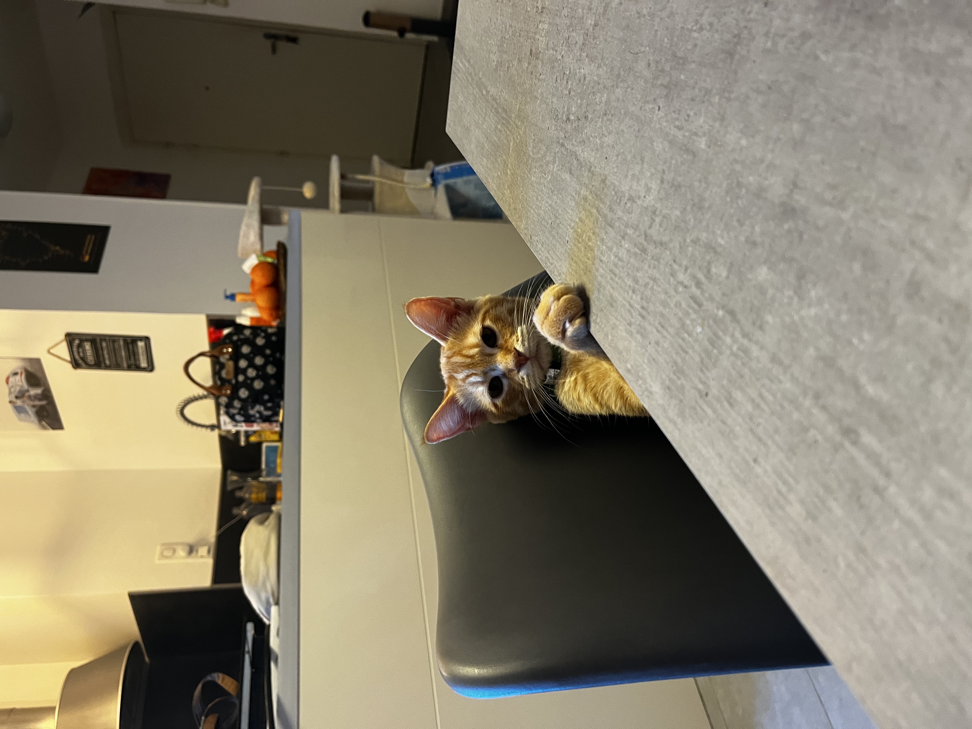 image-3