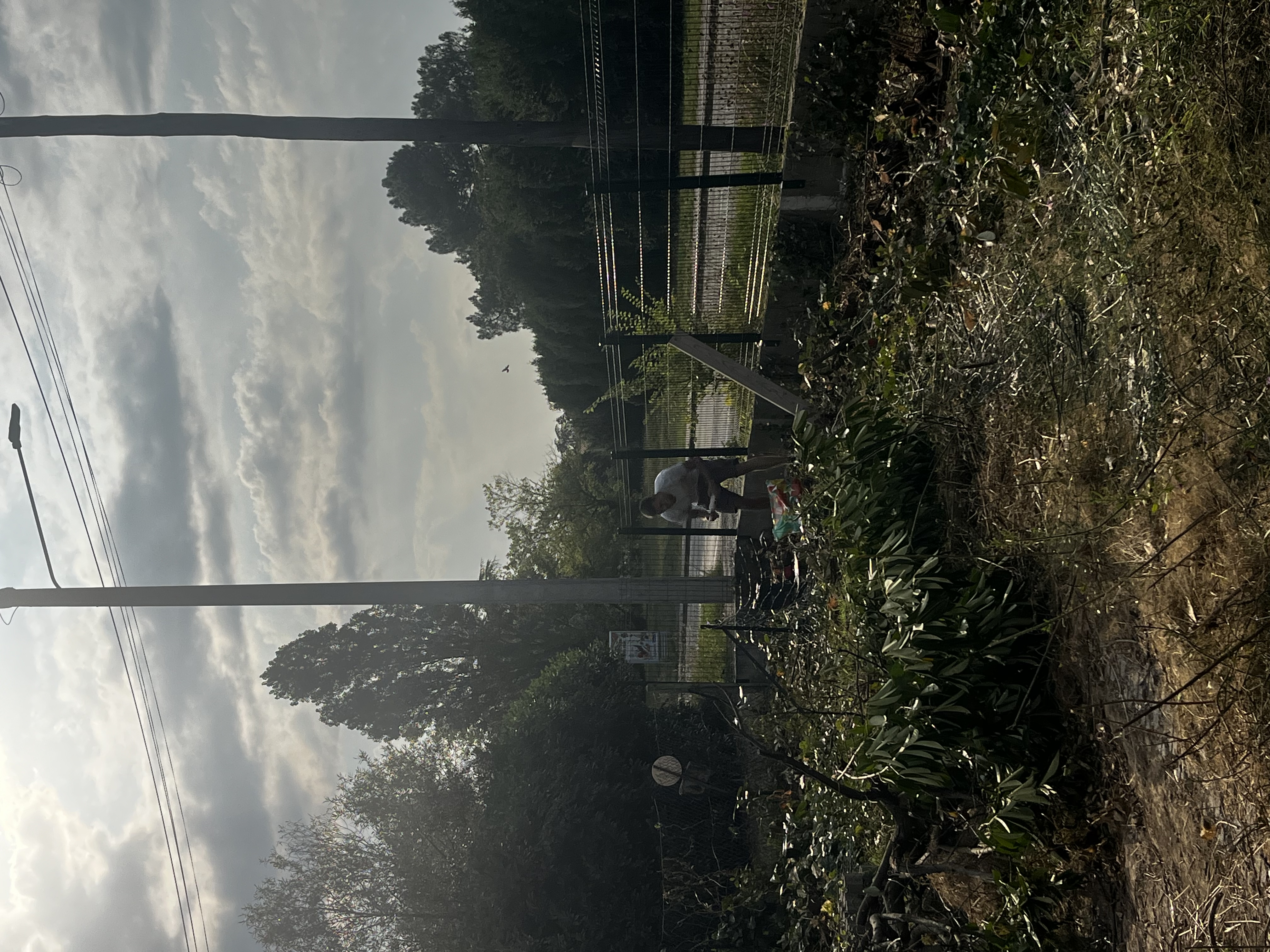 image-18