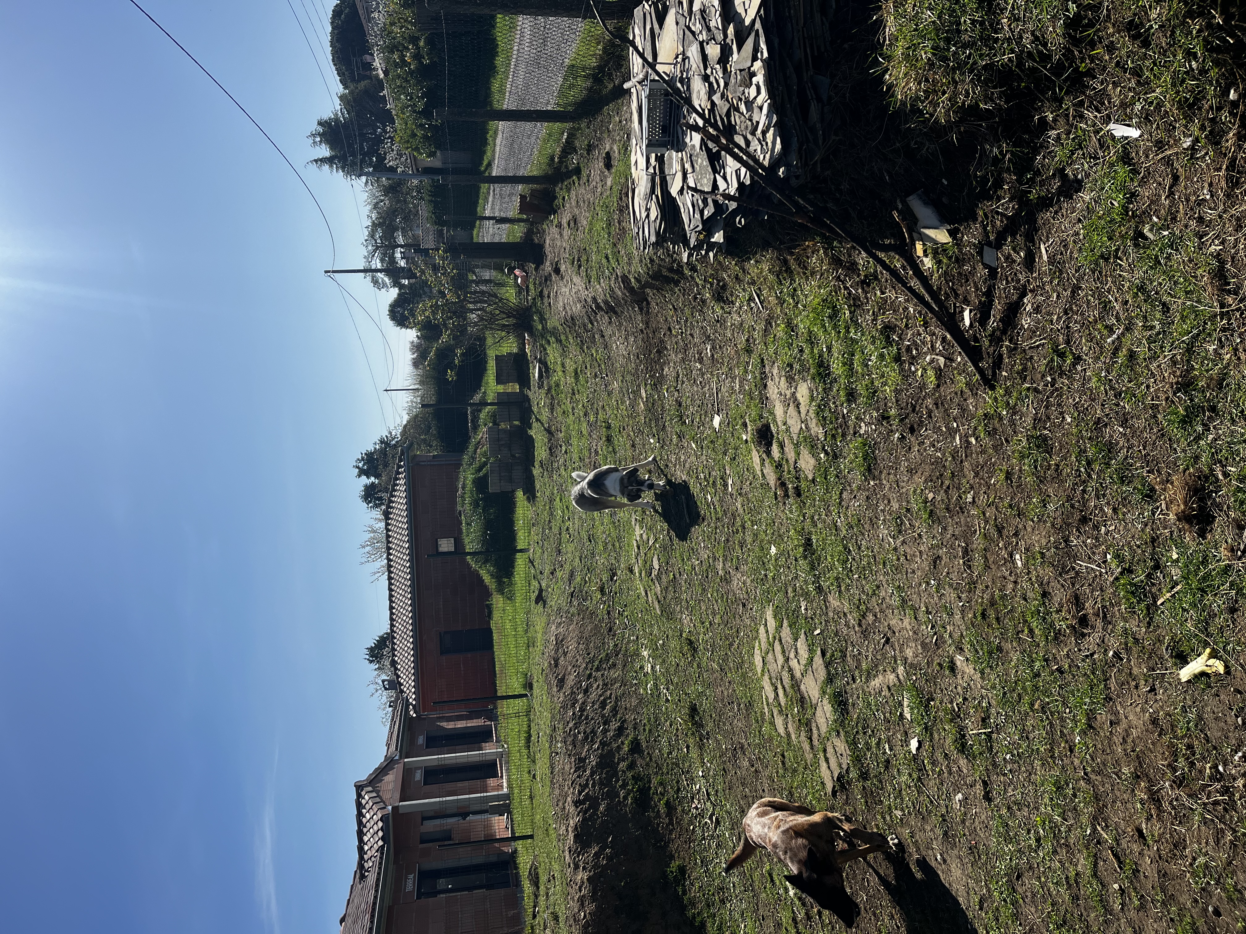 image-19