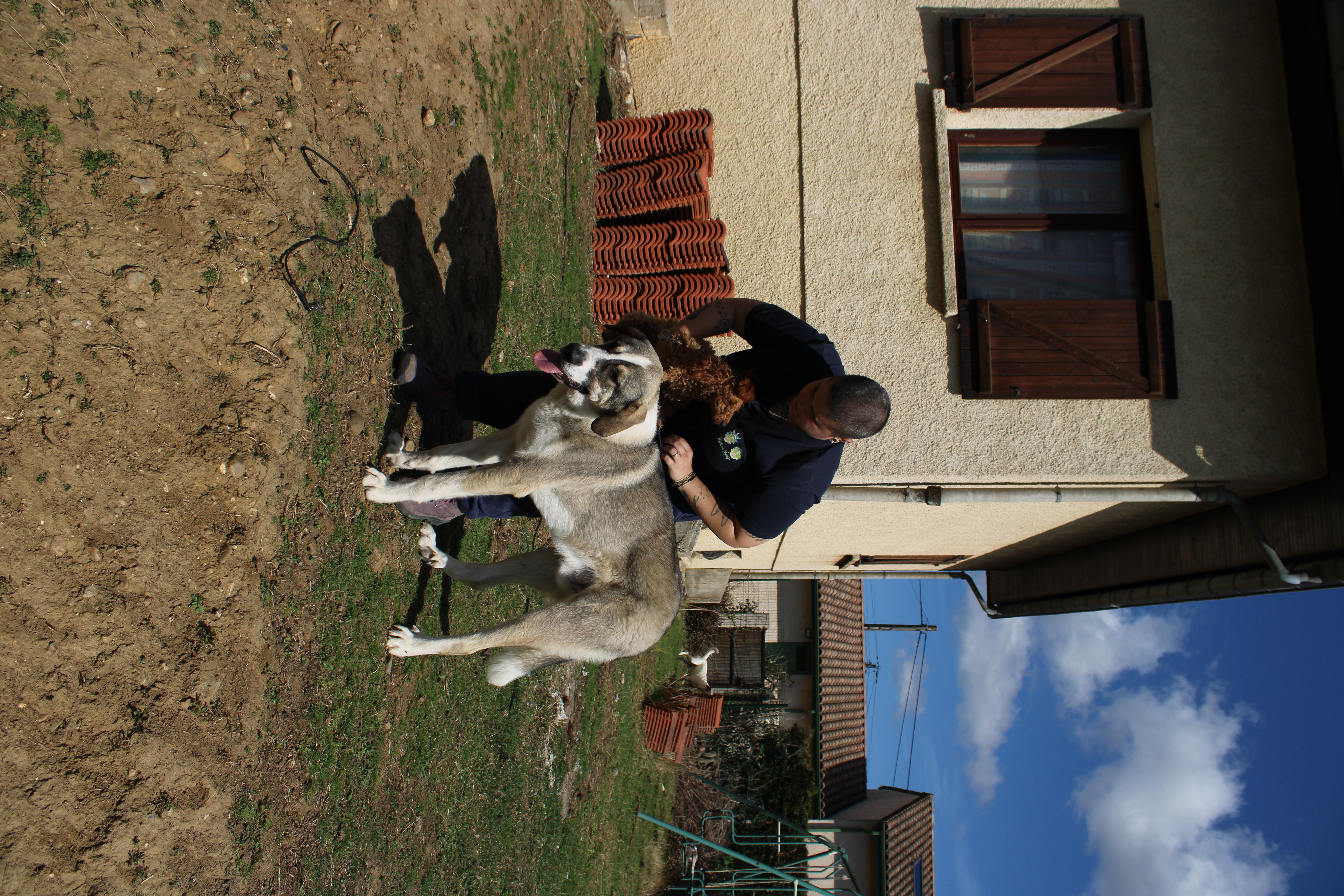 image-22