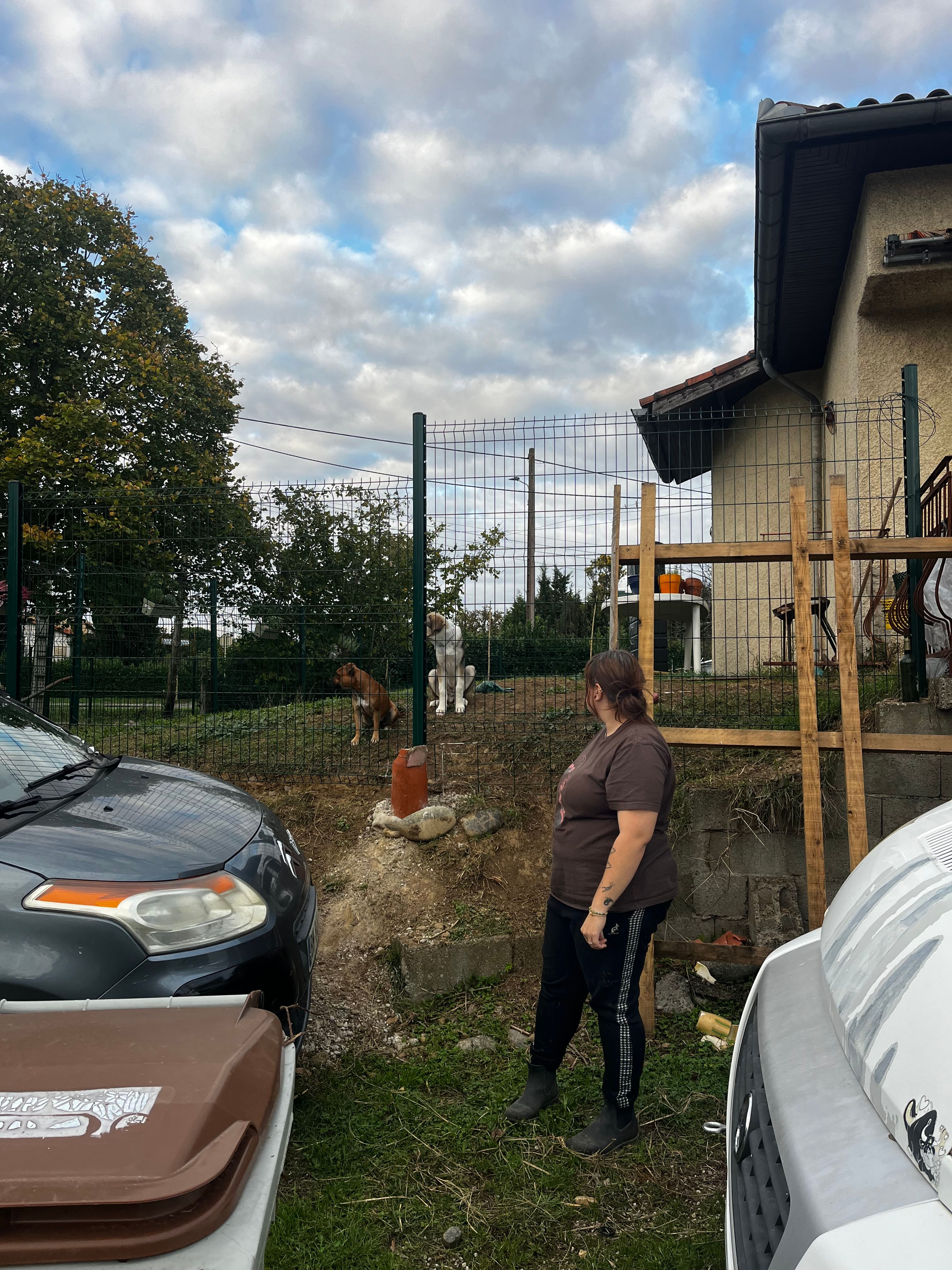image-20