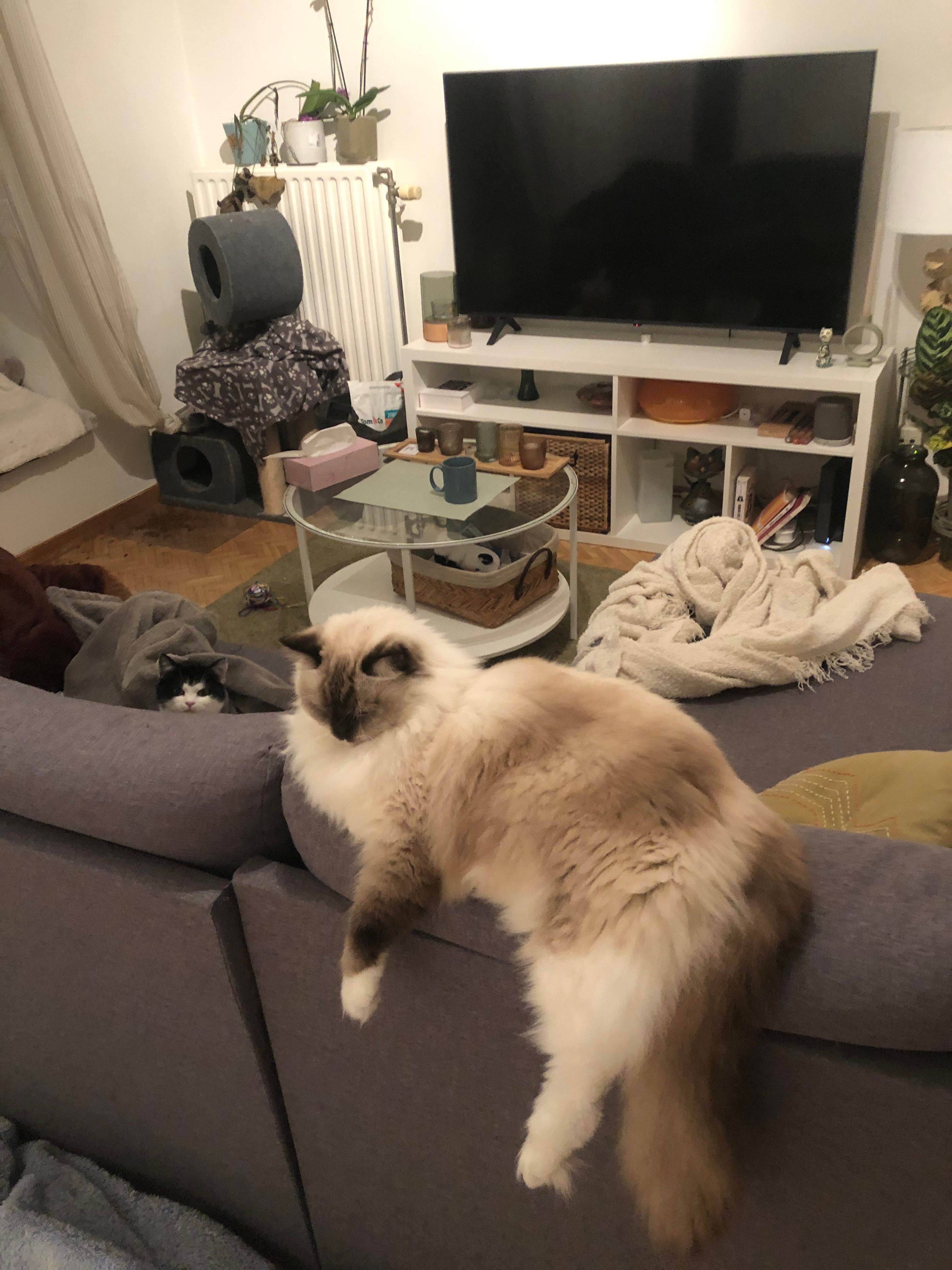 image-19