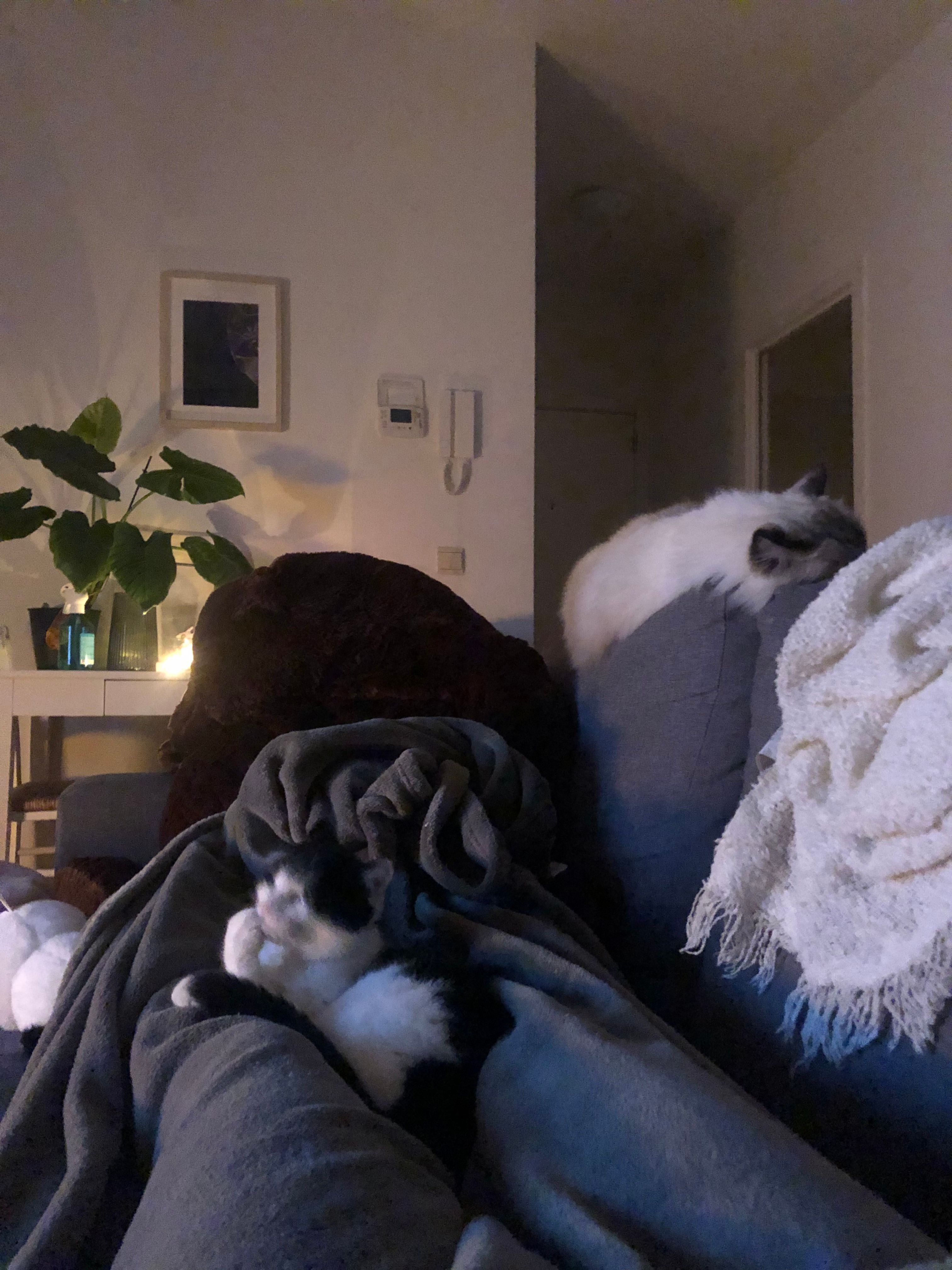 image-18