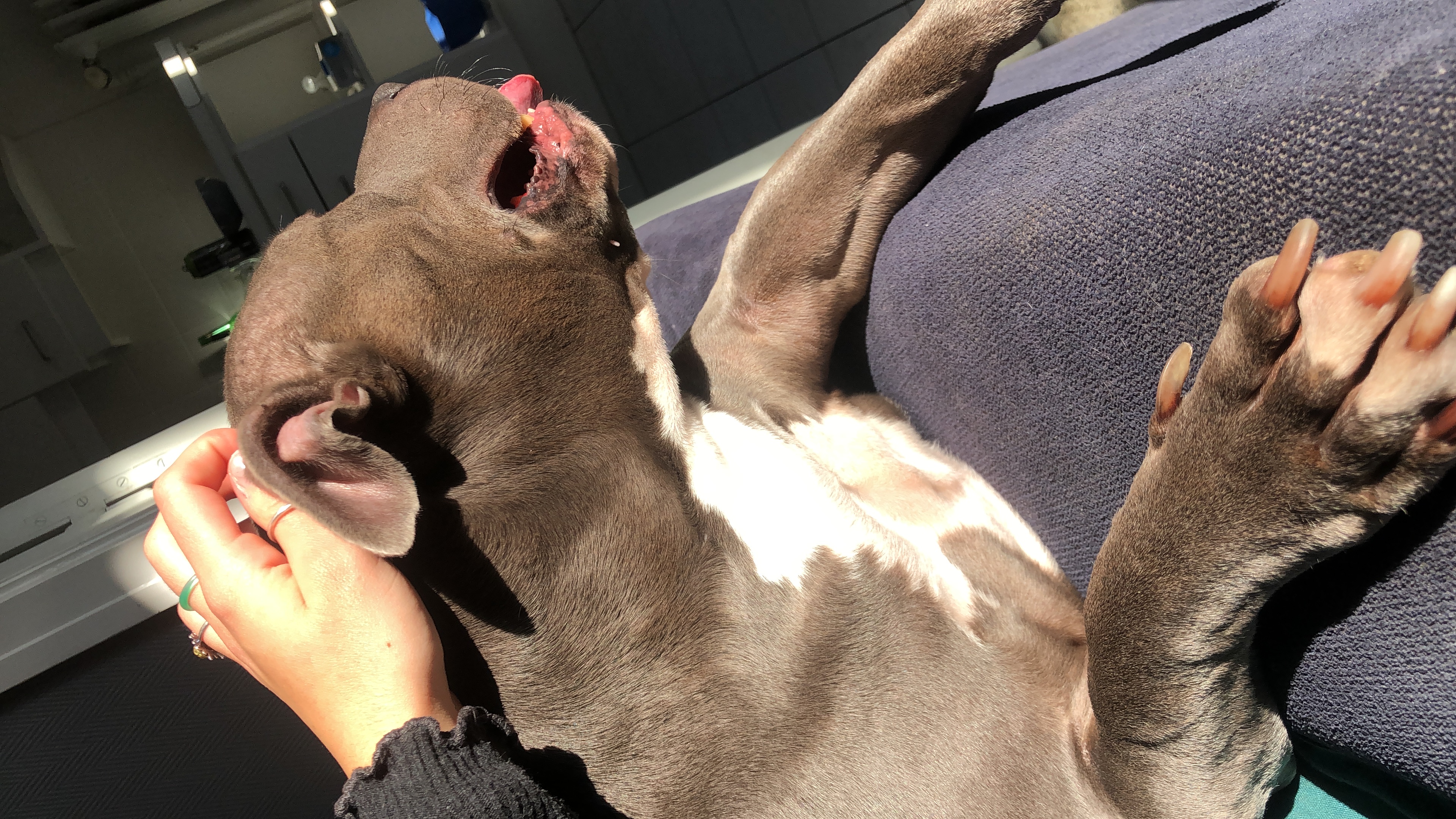 image-13