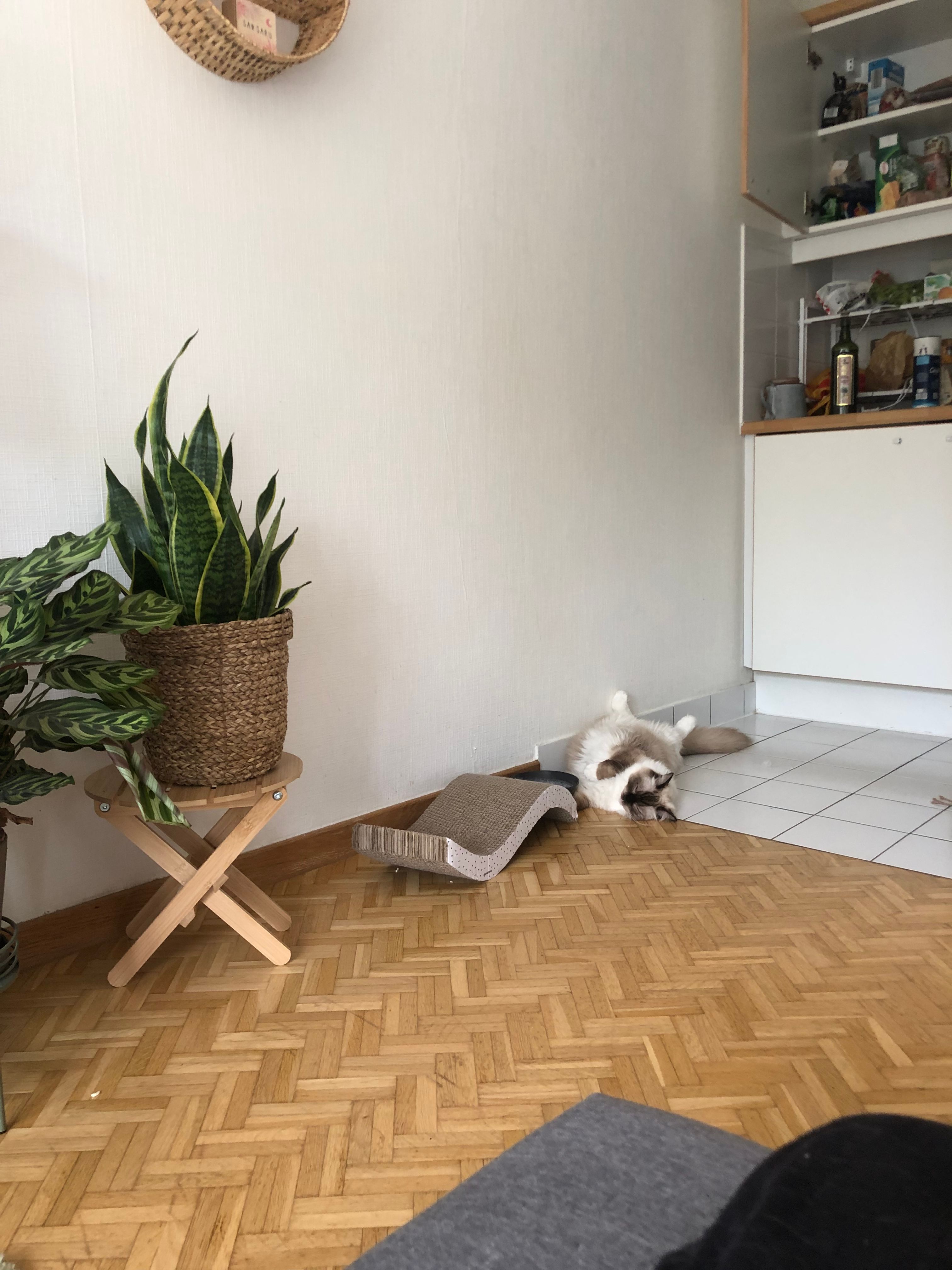 image-17