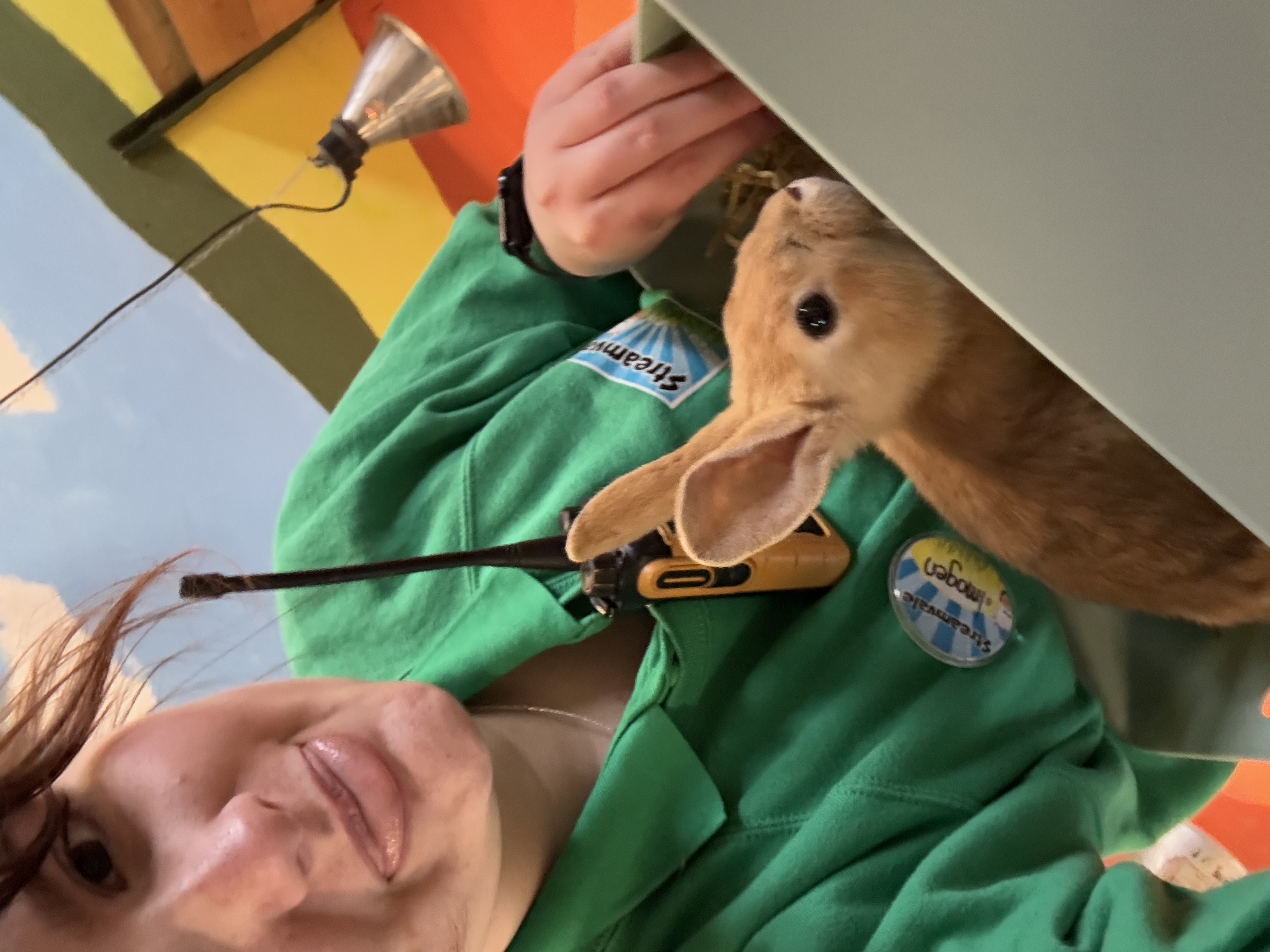 image-6