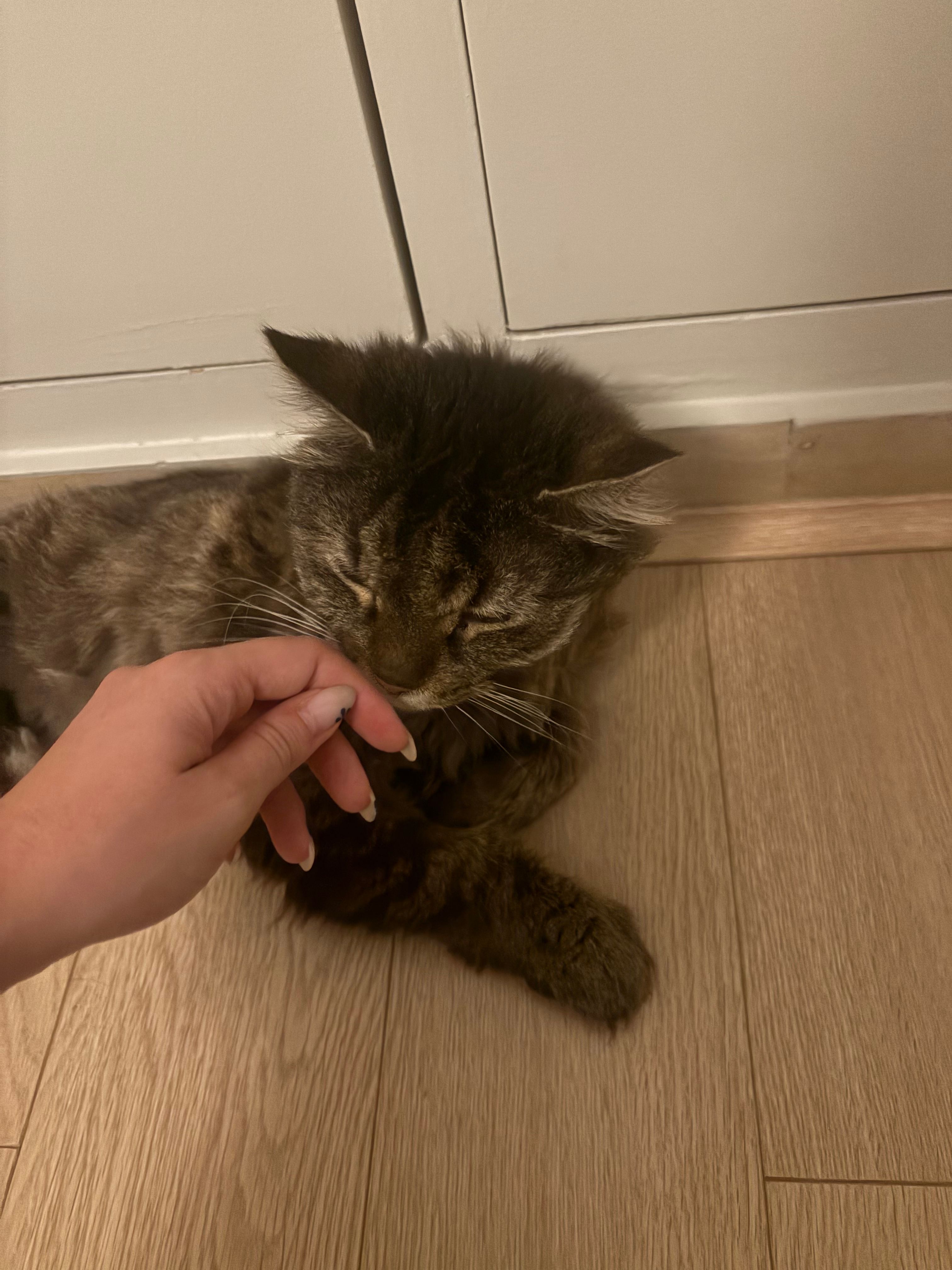 image-11