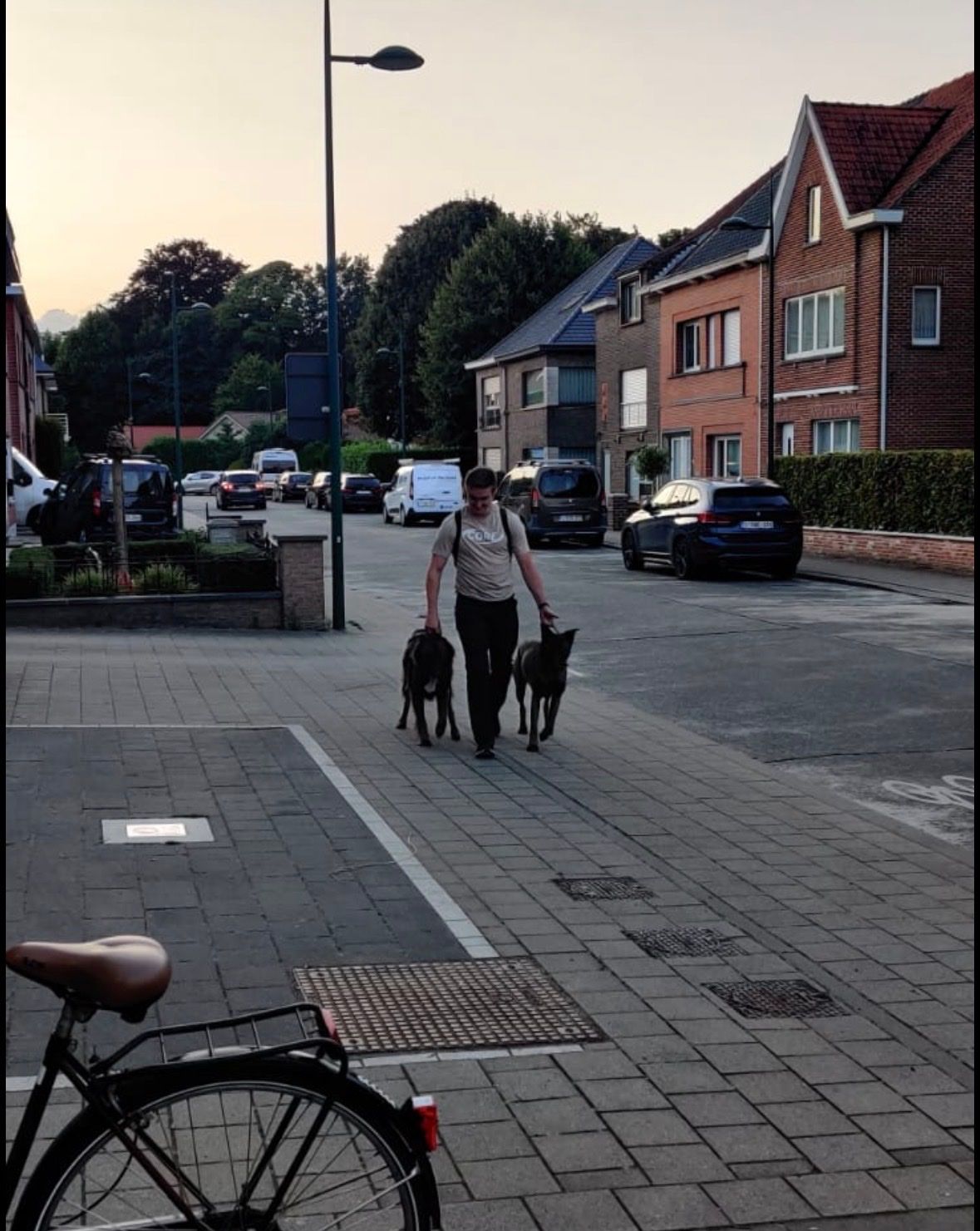 image-14