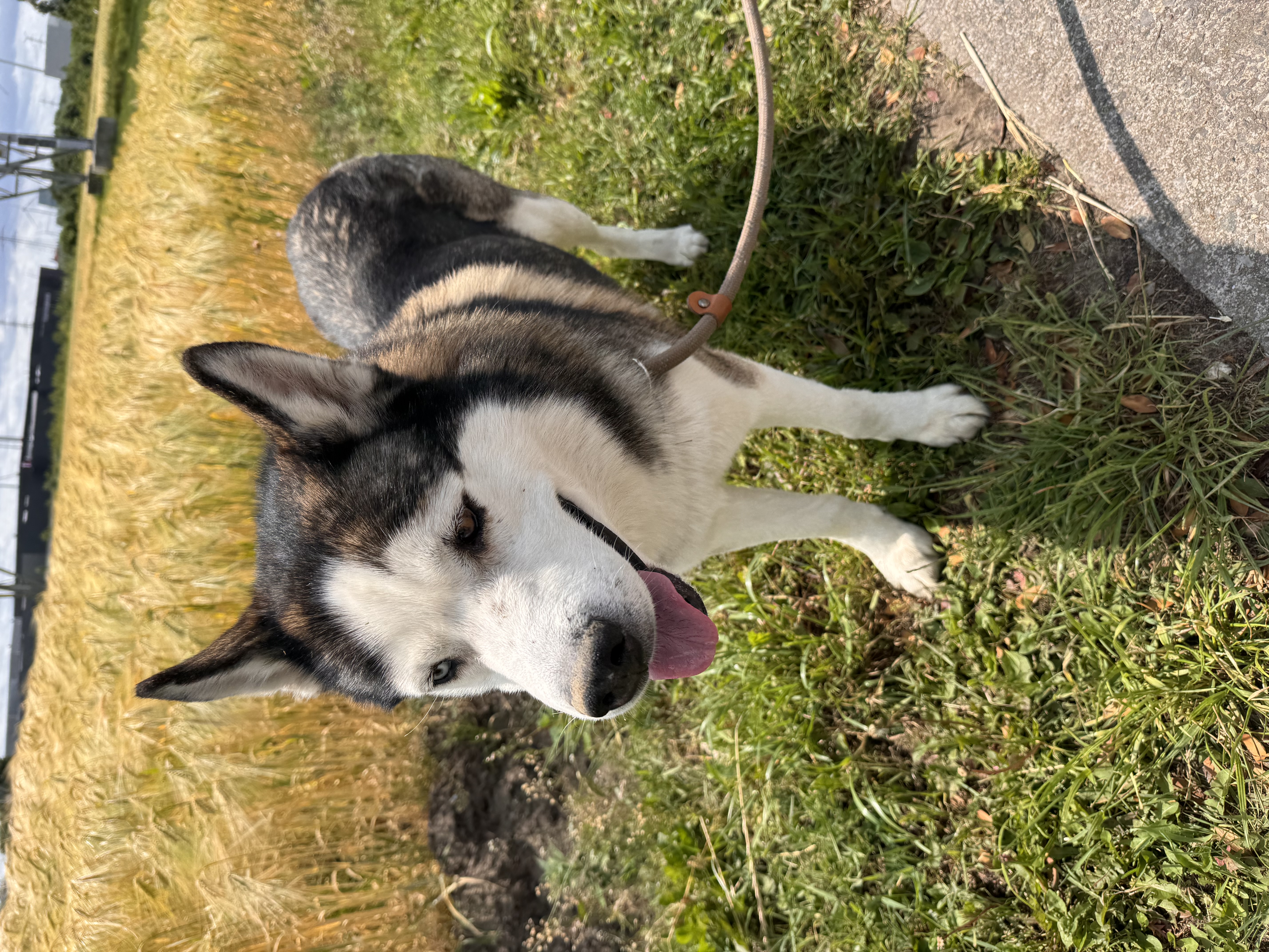image-9