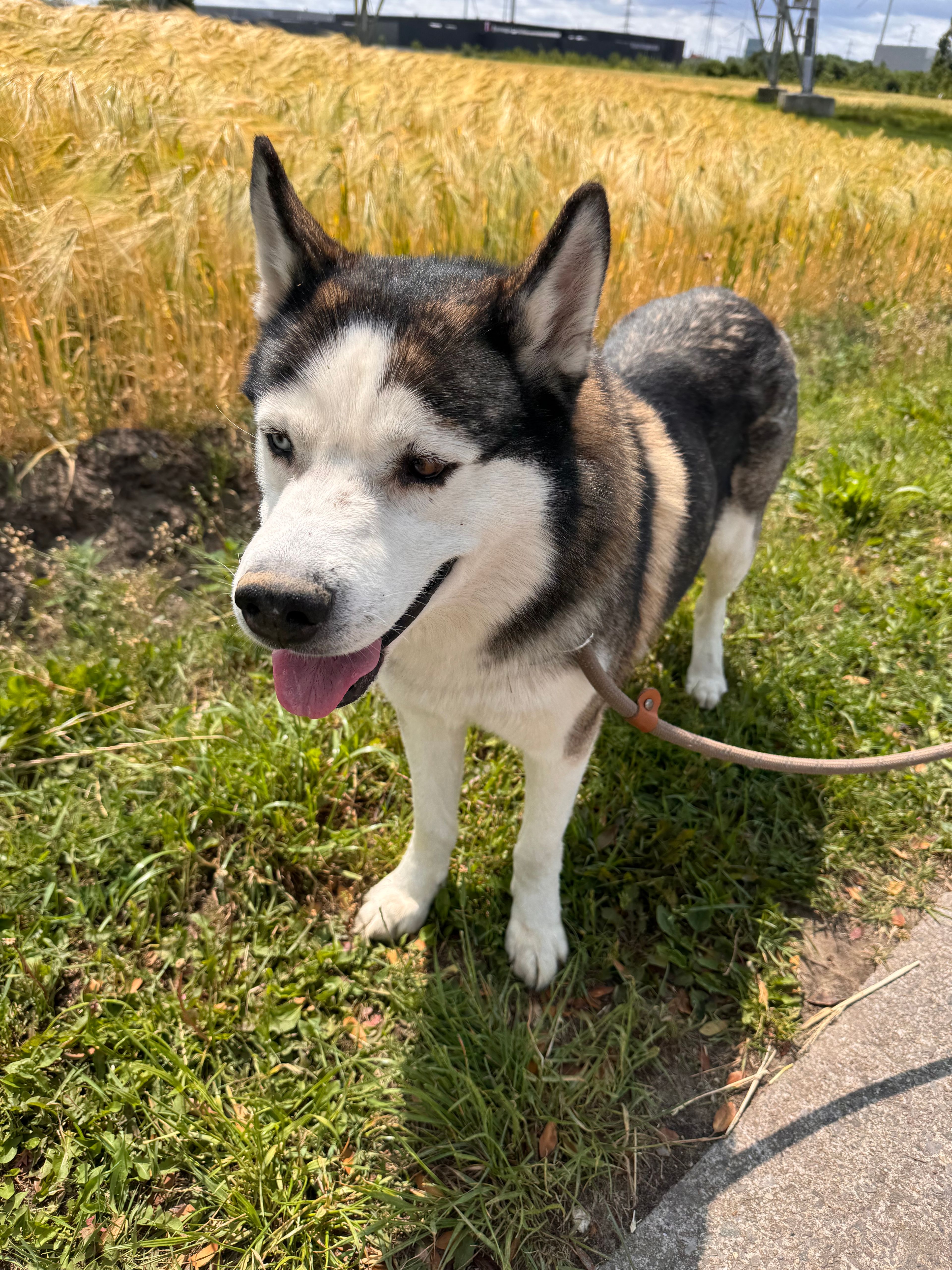 image-9