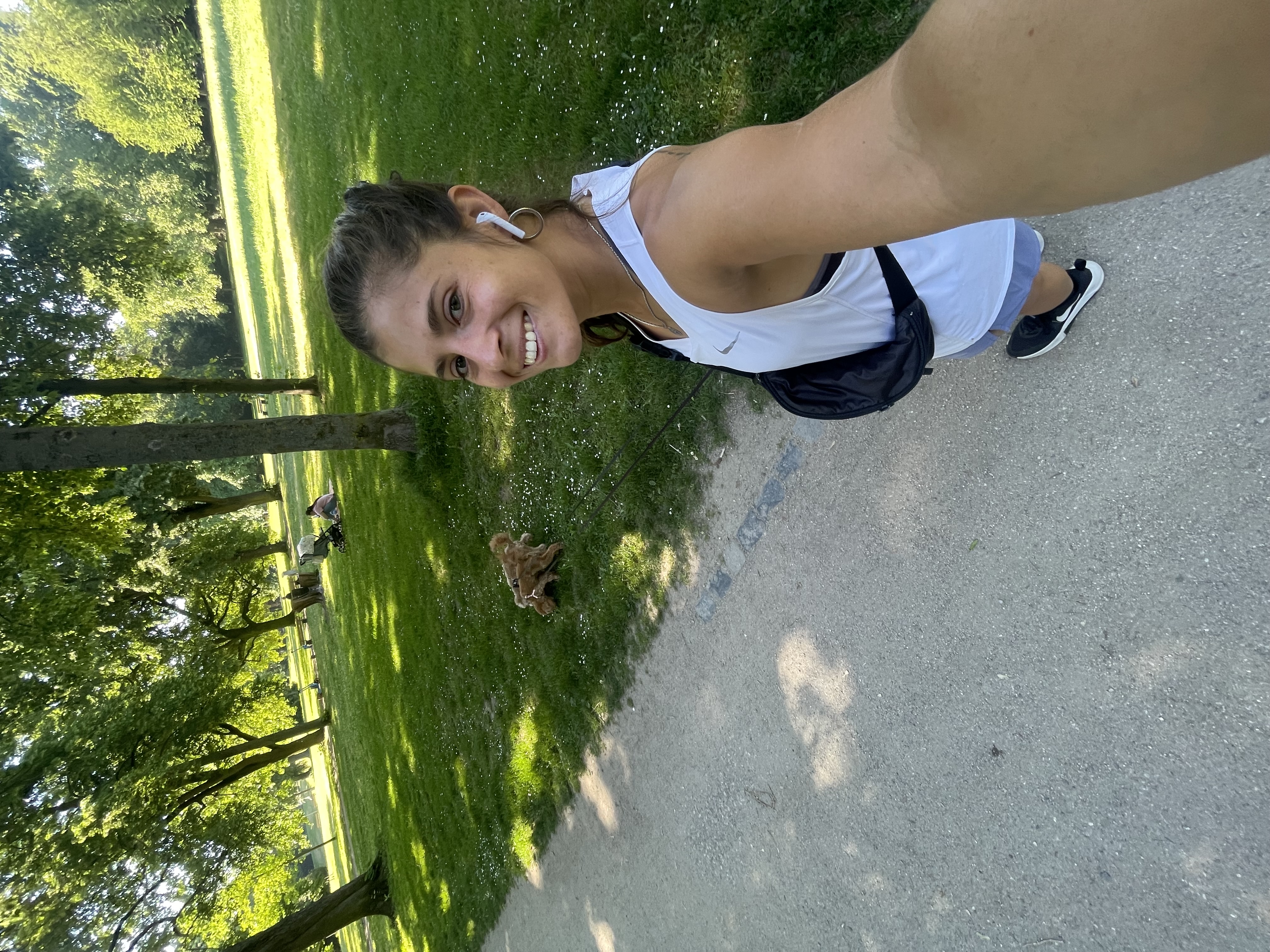 image-14