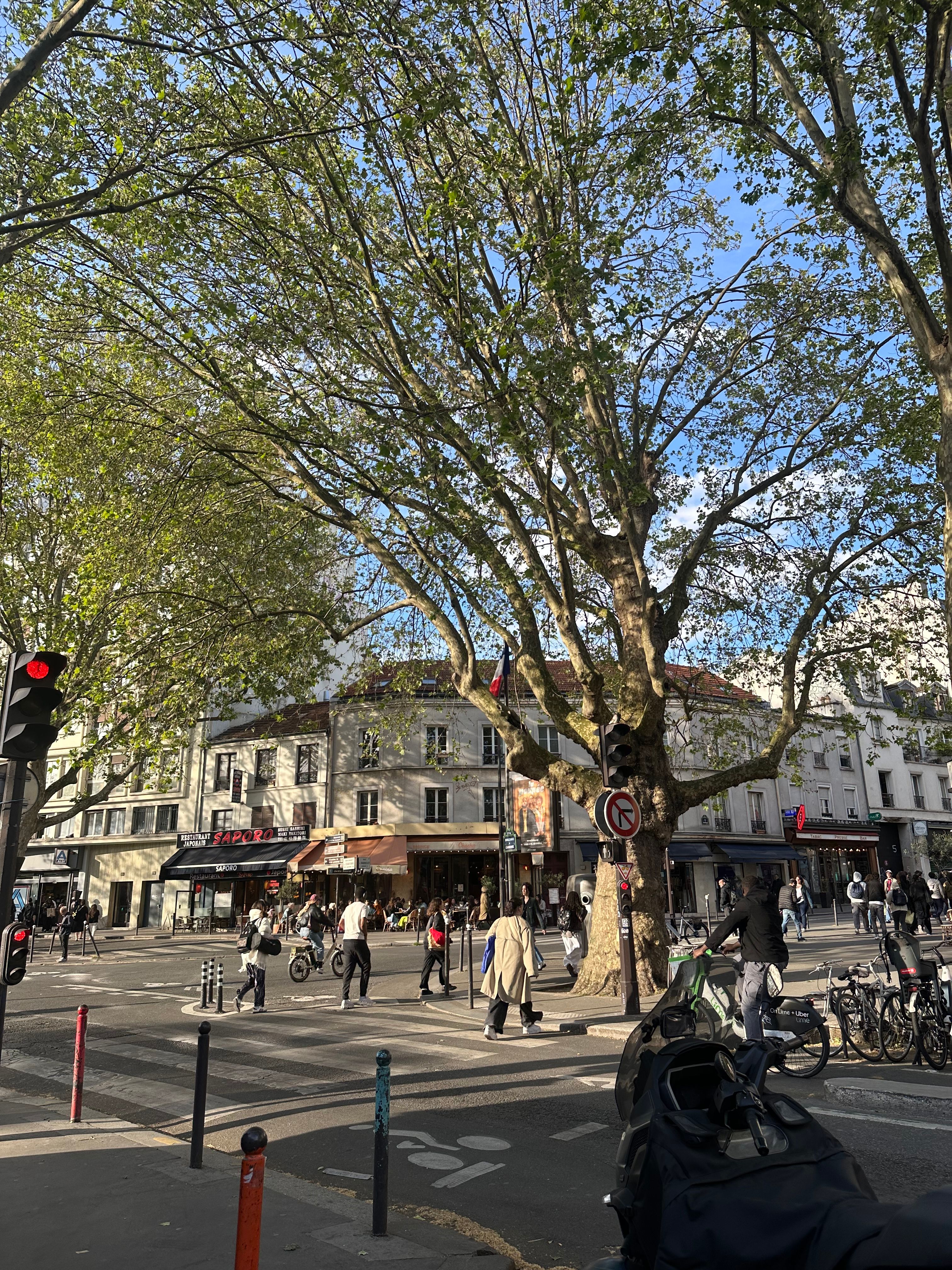 image-36