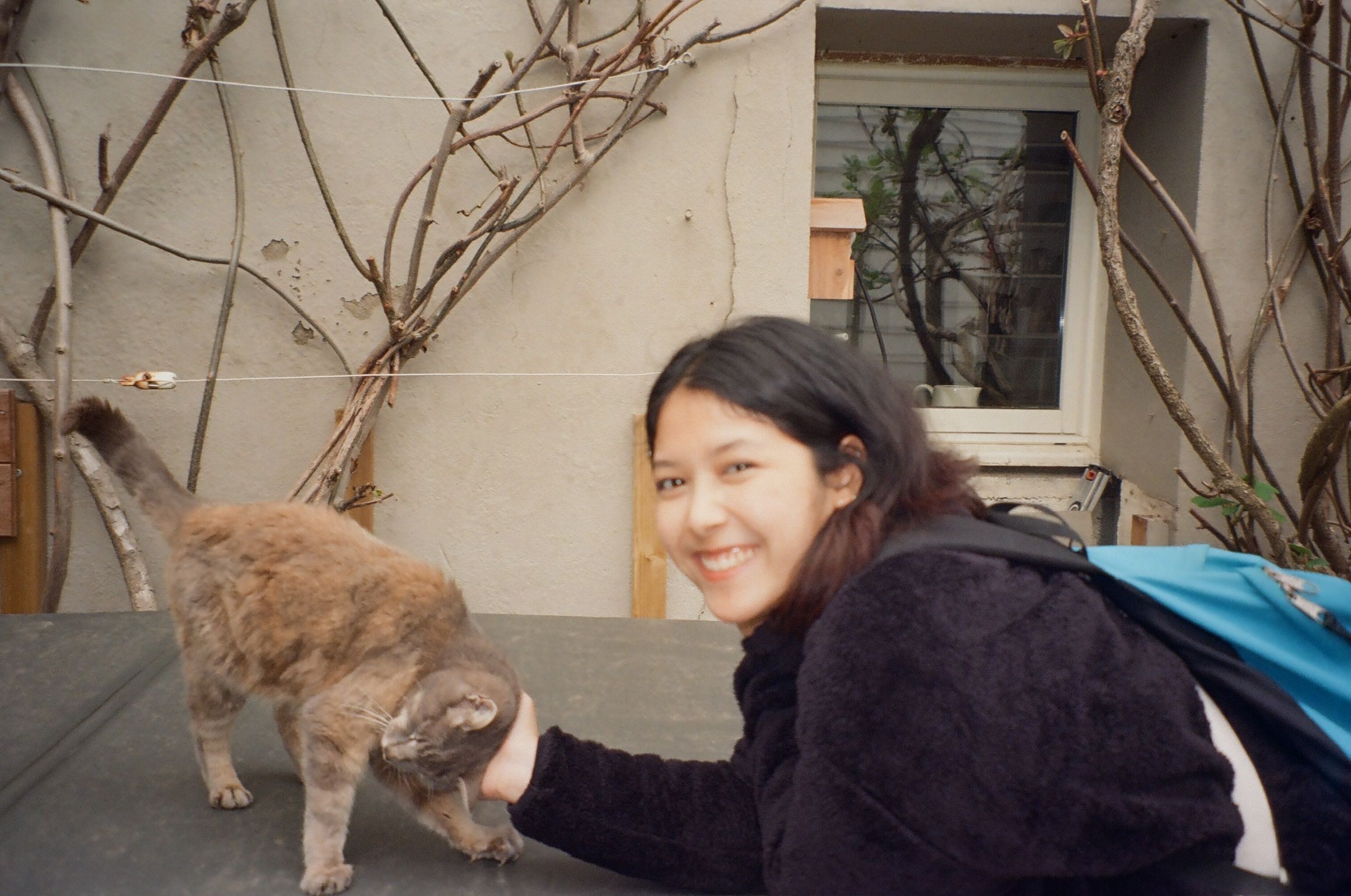 image-14