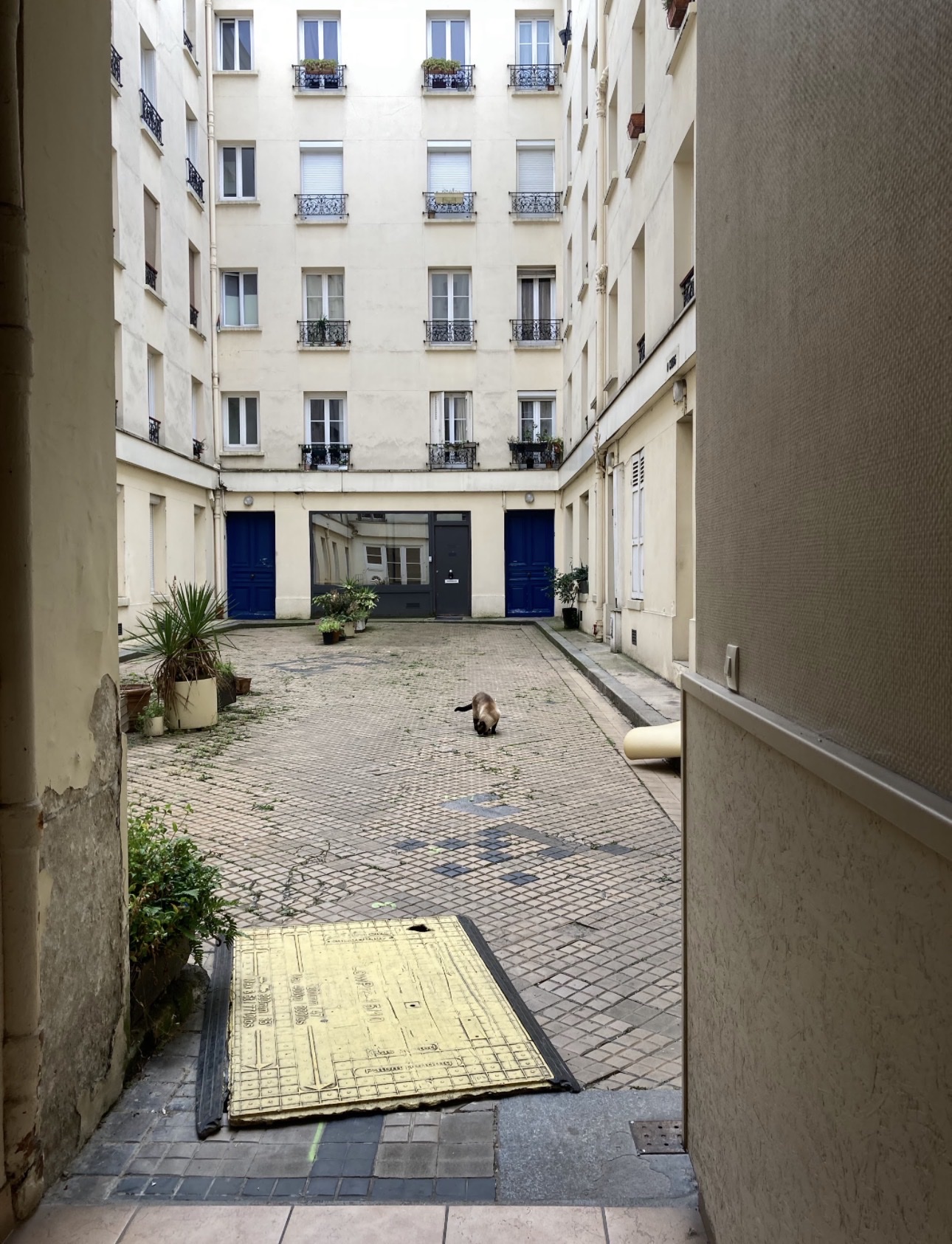 image-33