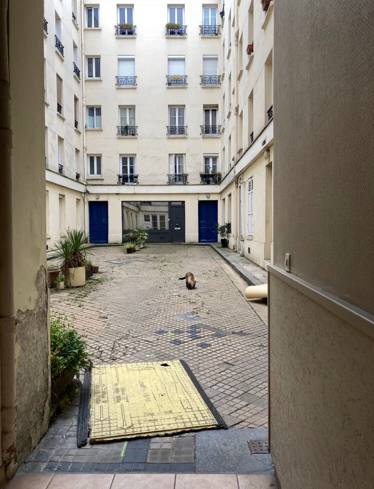 image-33