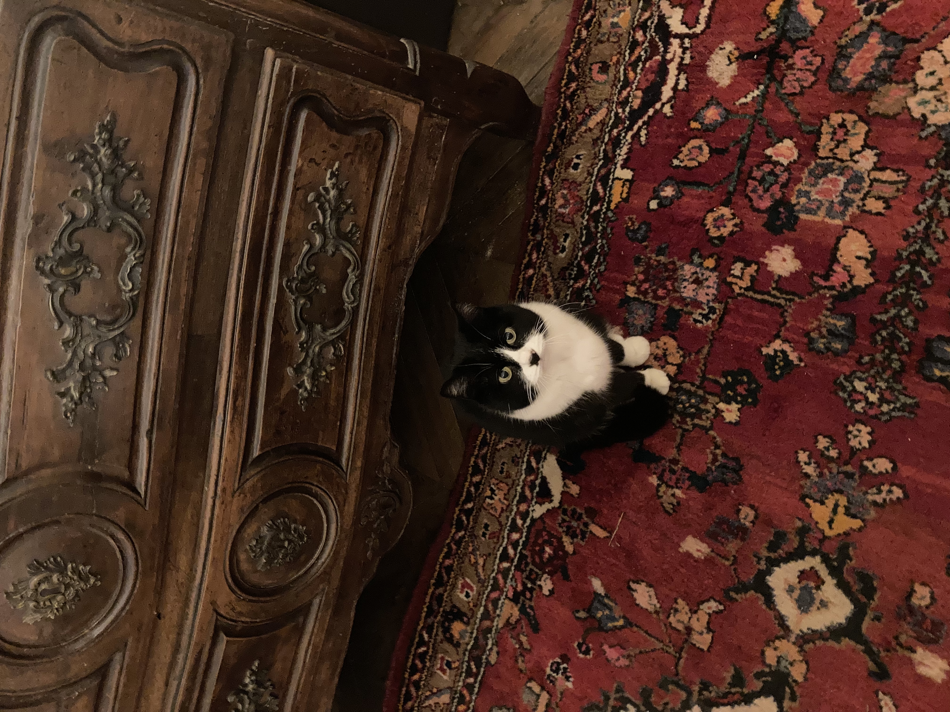 image-8