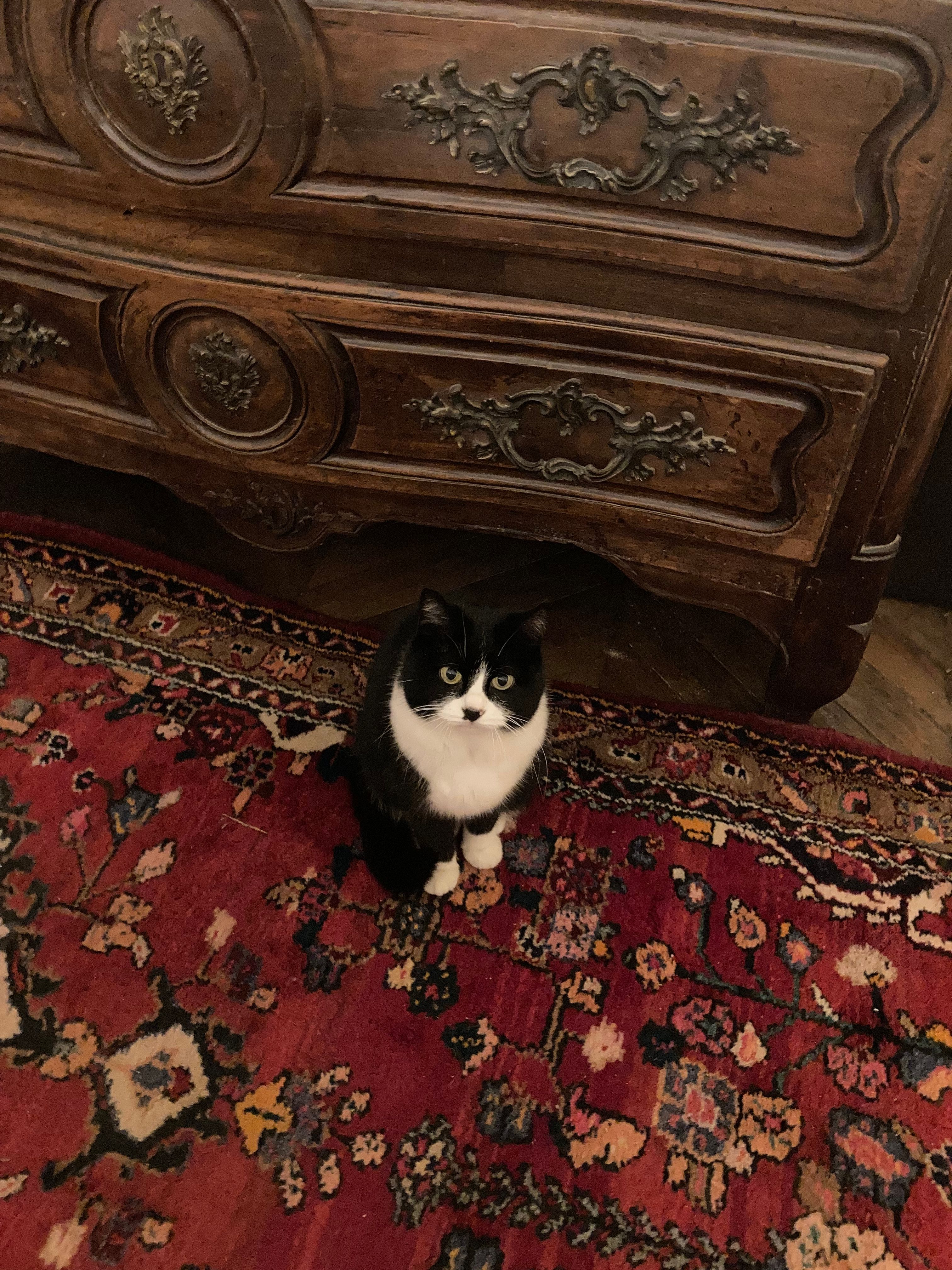image-8