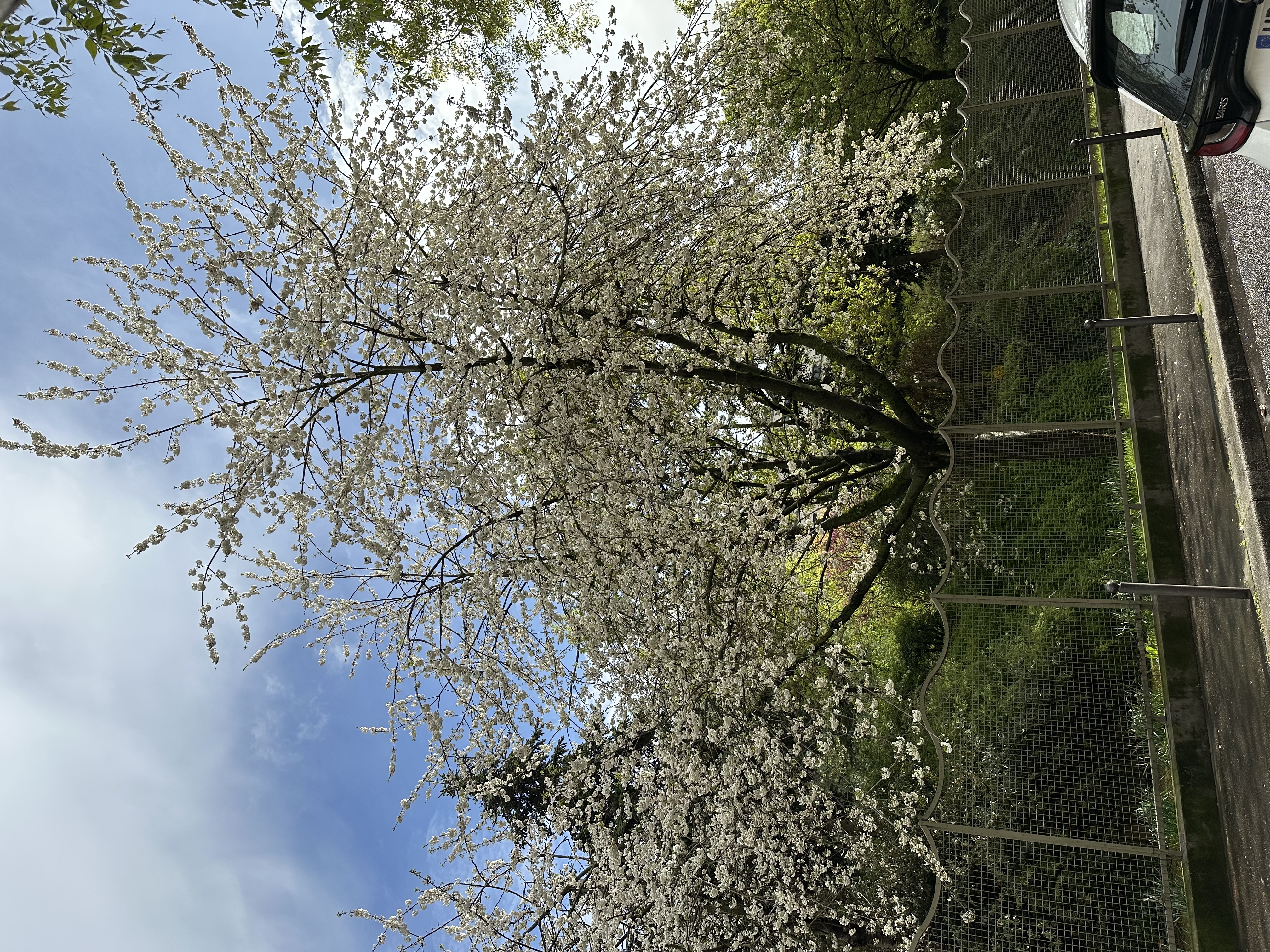 image-37