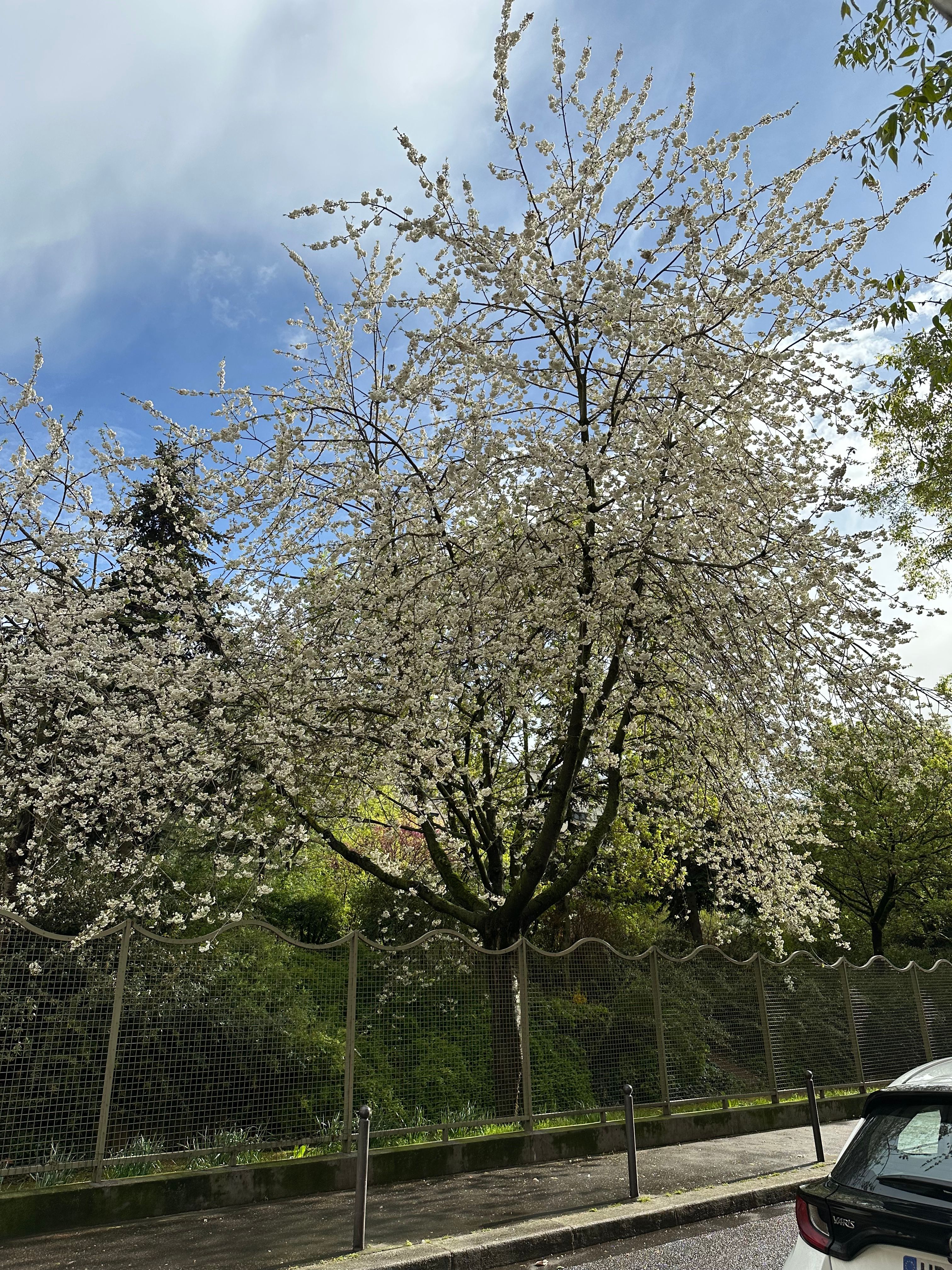 image-37