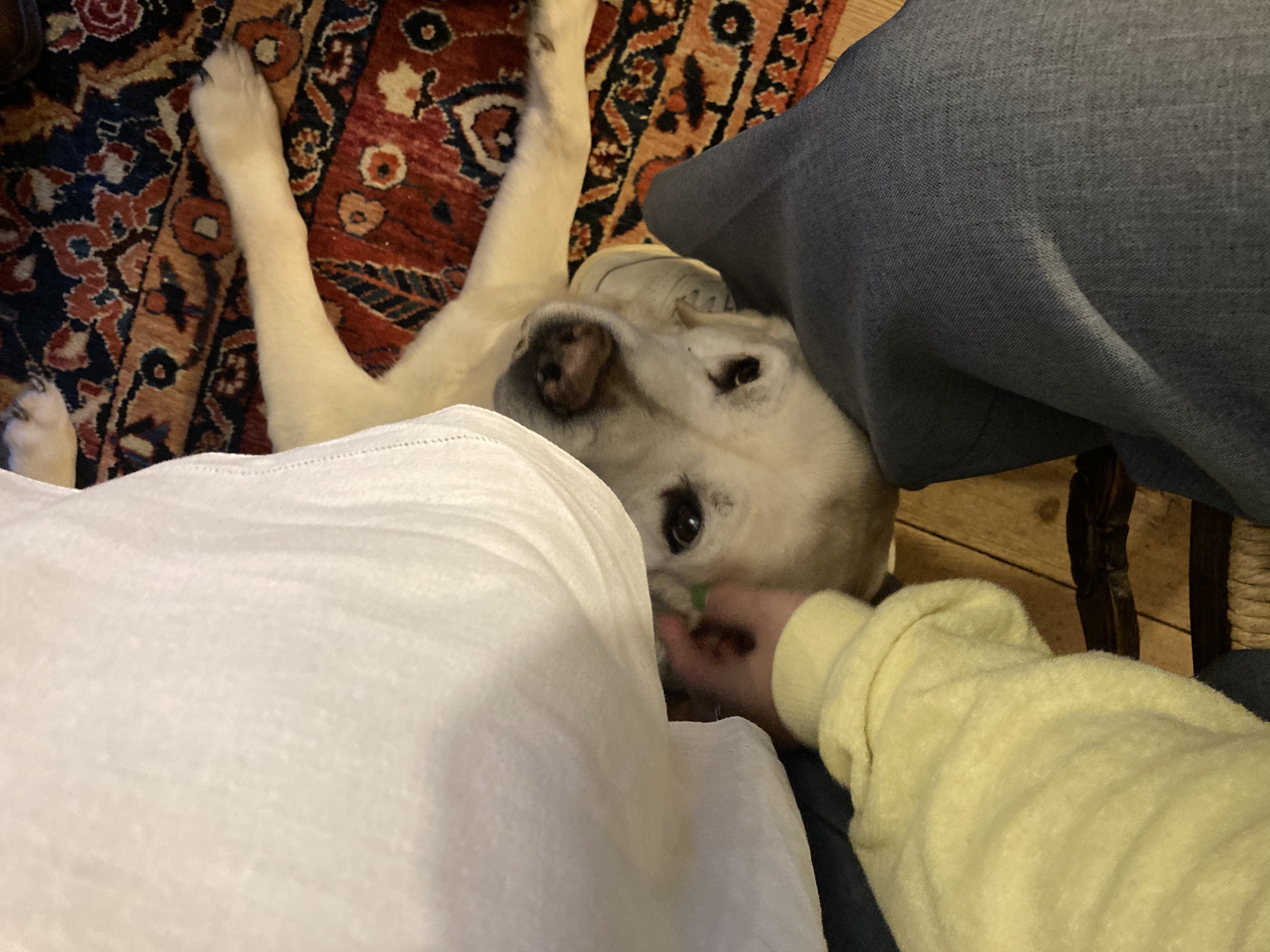 image-25
