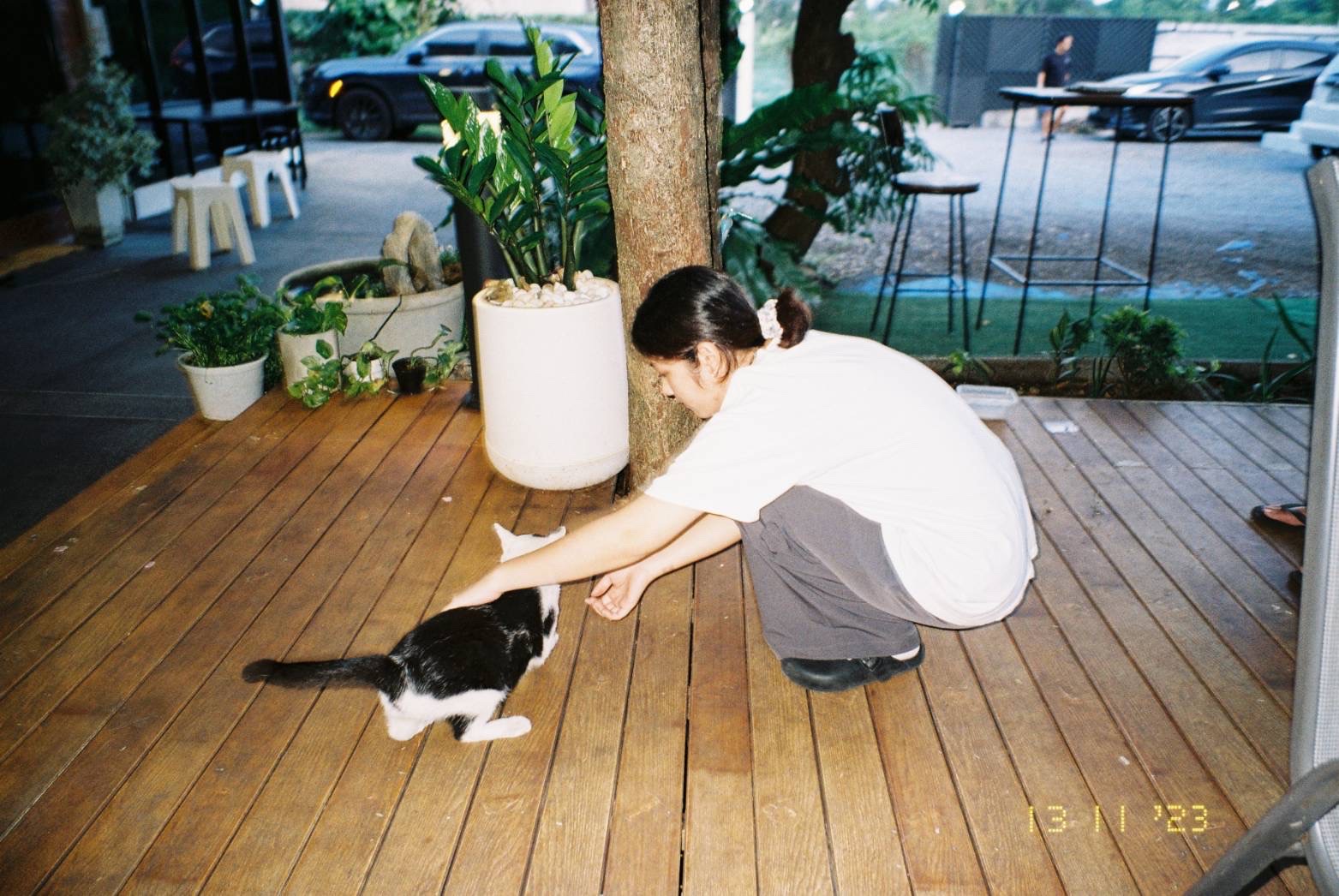 image-3