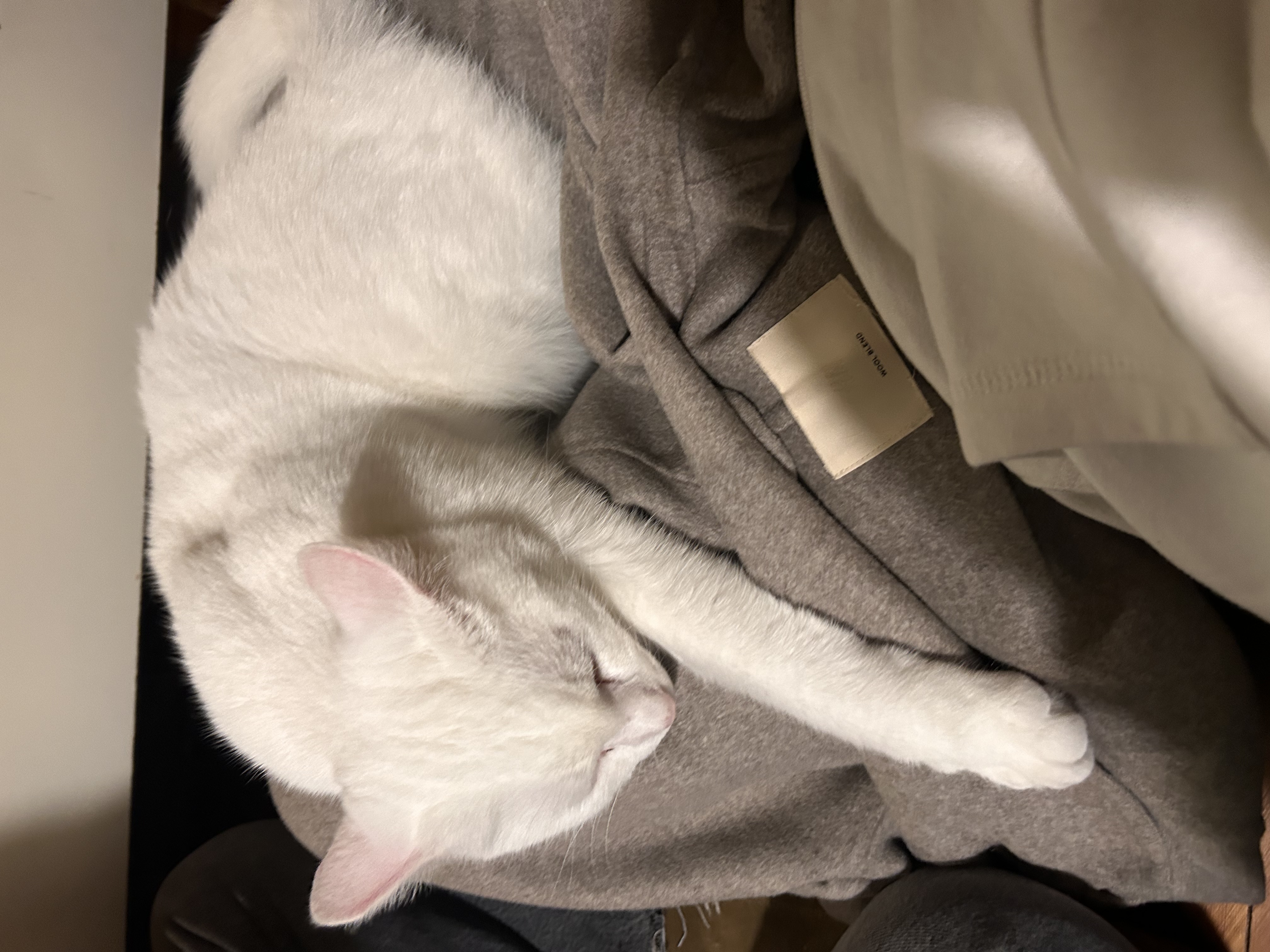 image-8