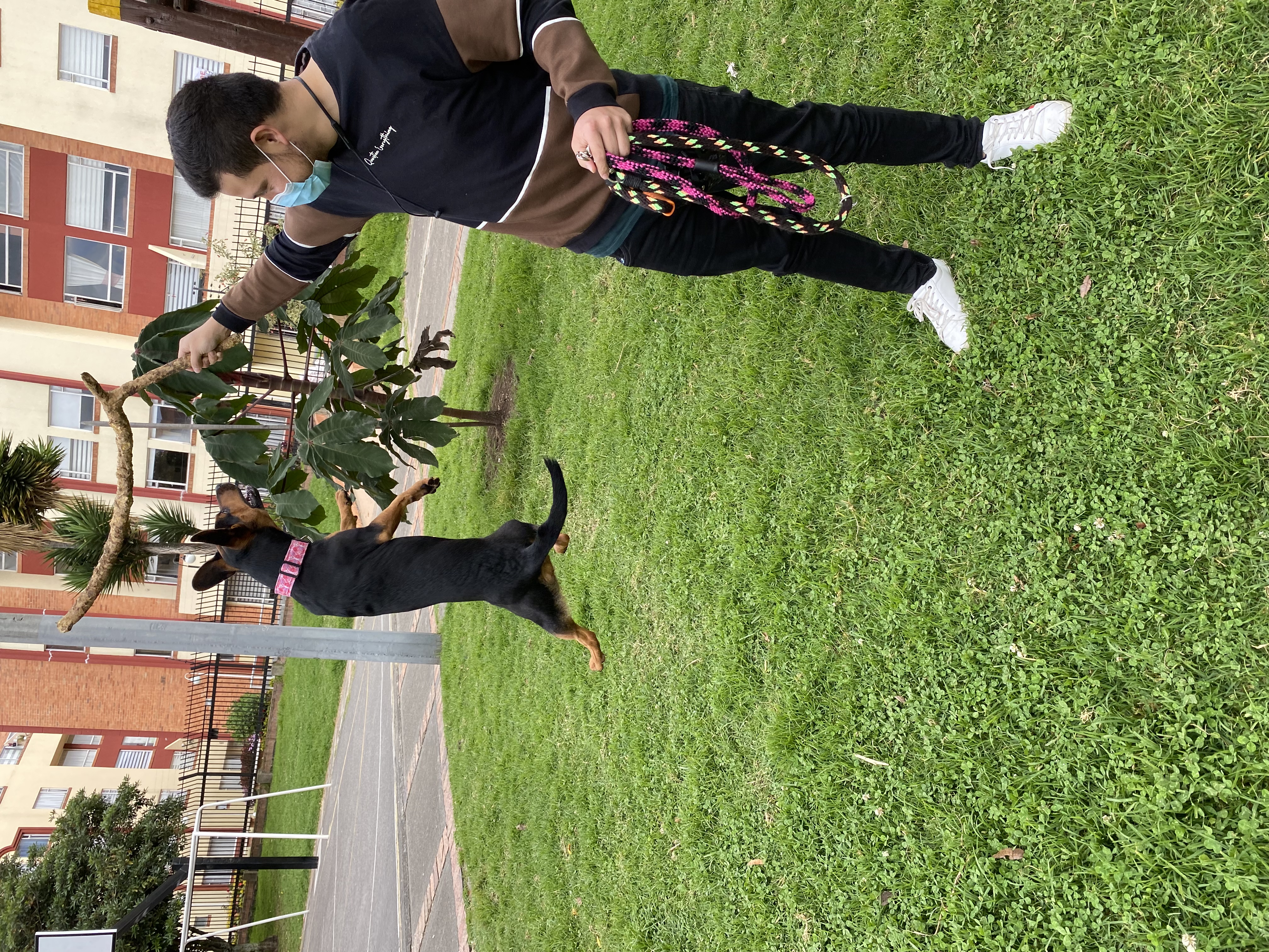 image-7