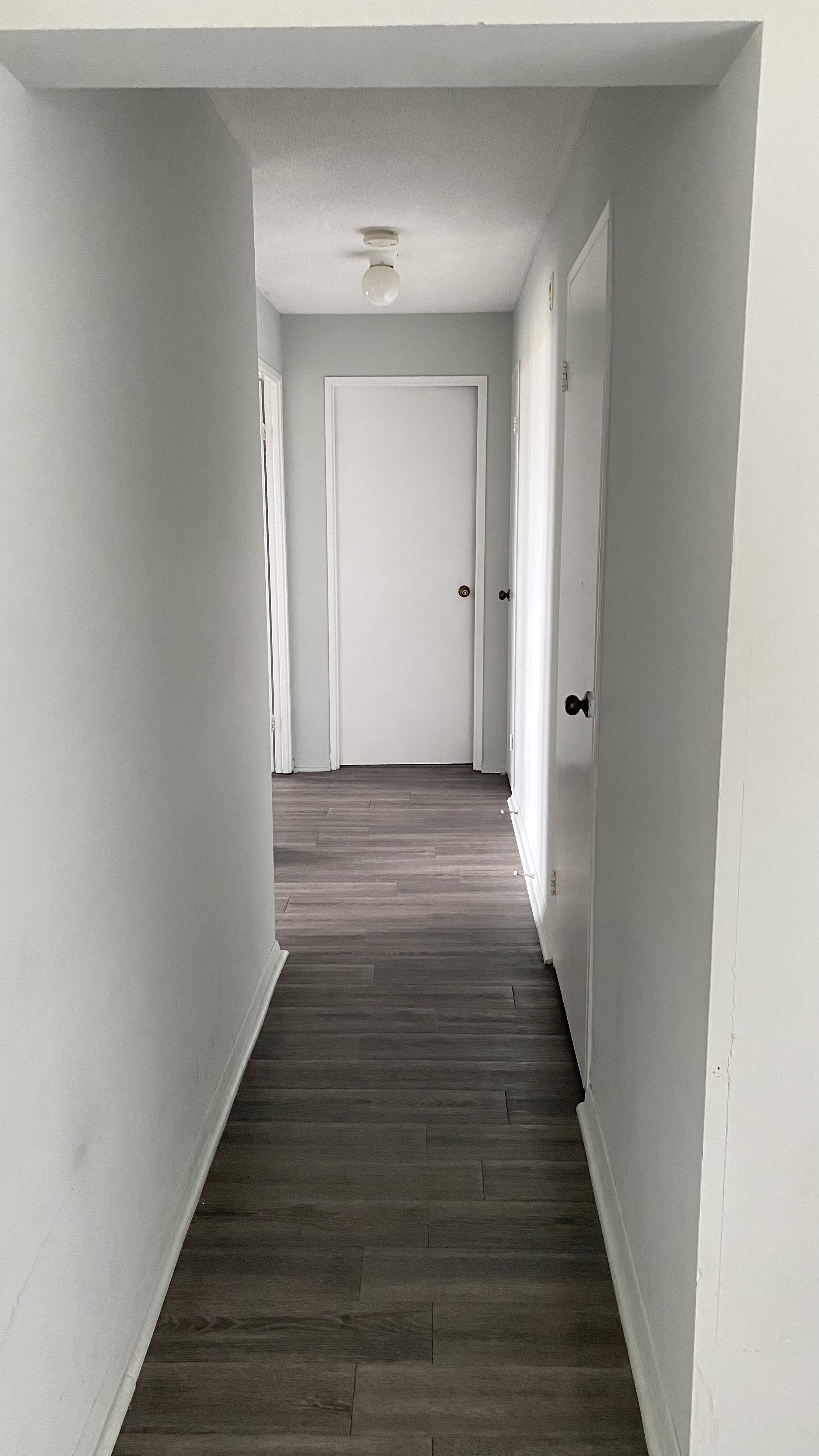 image-19
