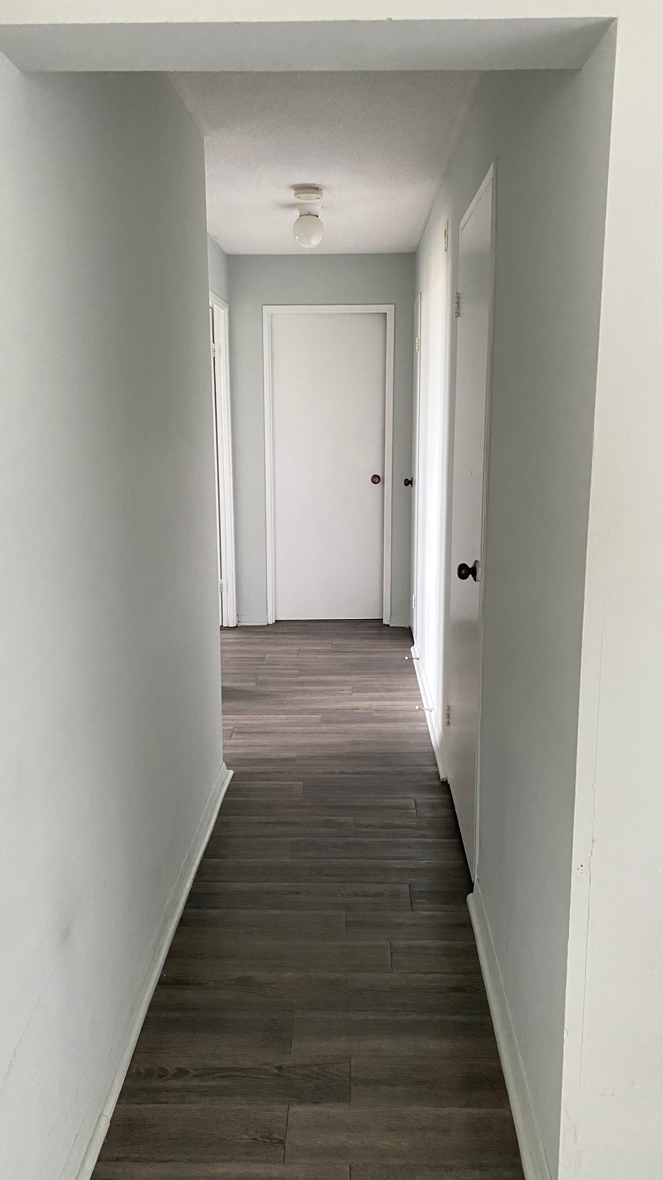 image-19