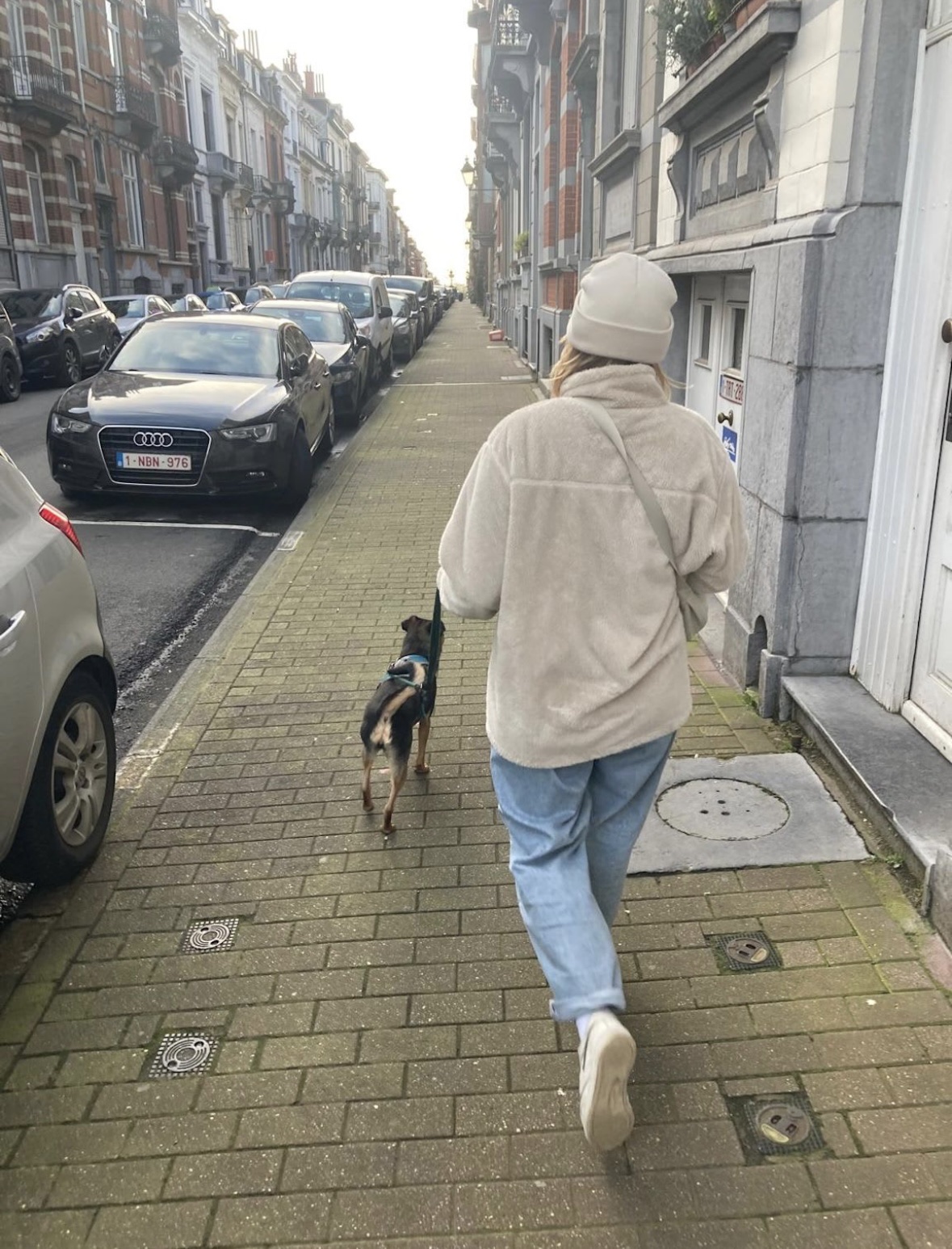 image-8