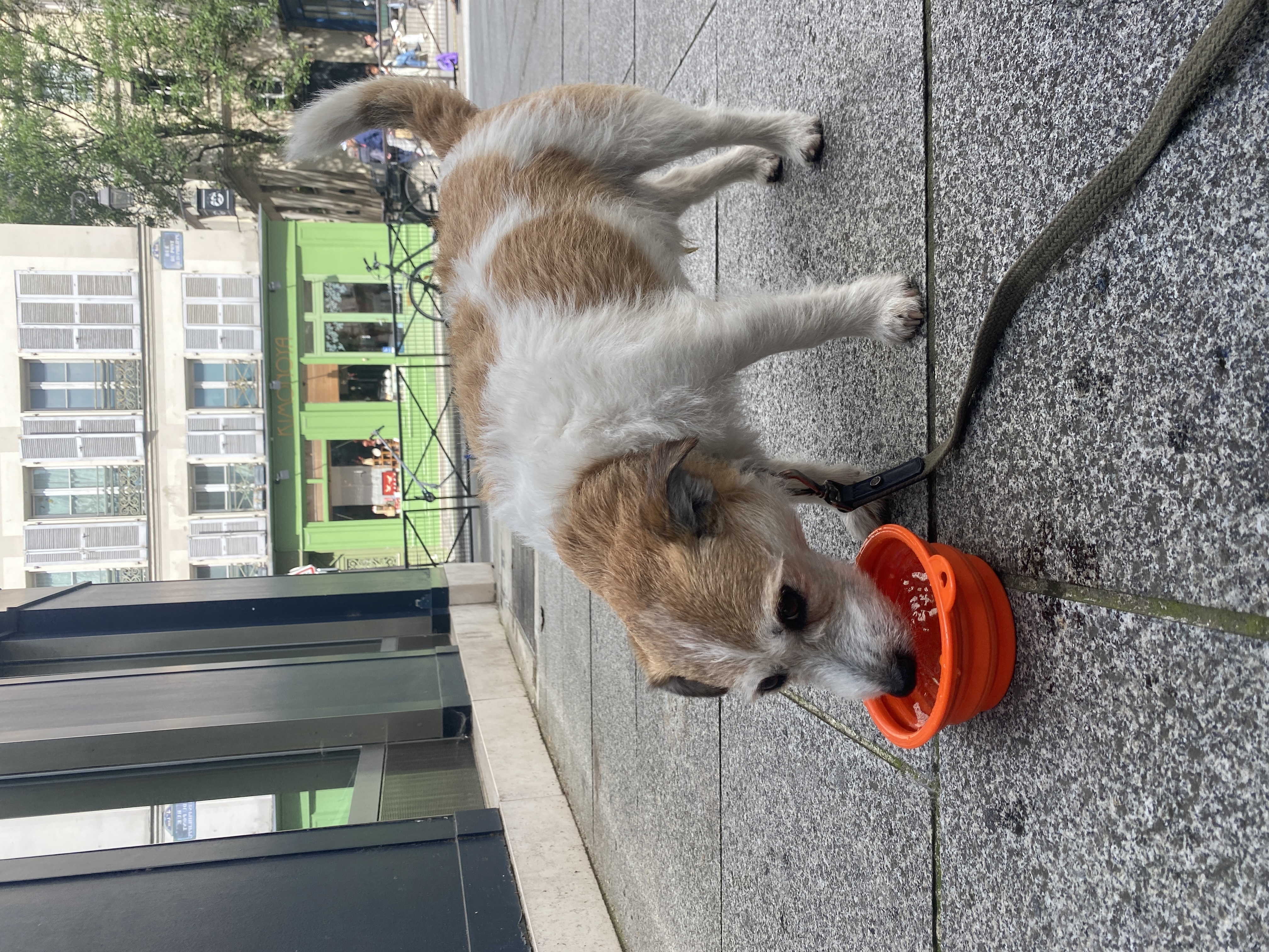 image-48