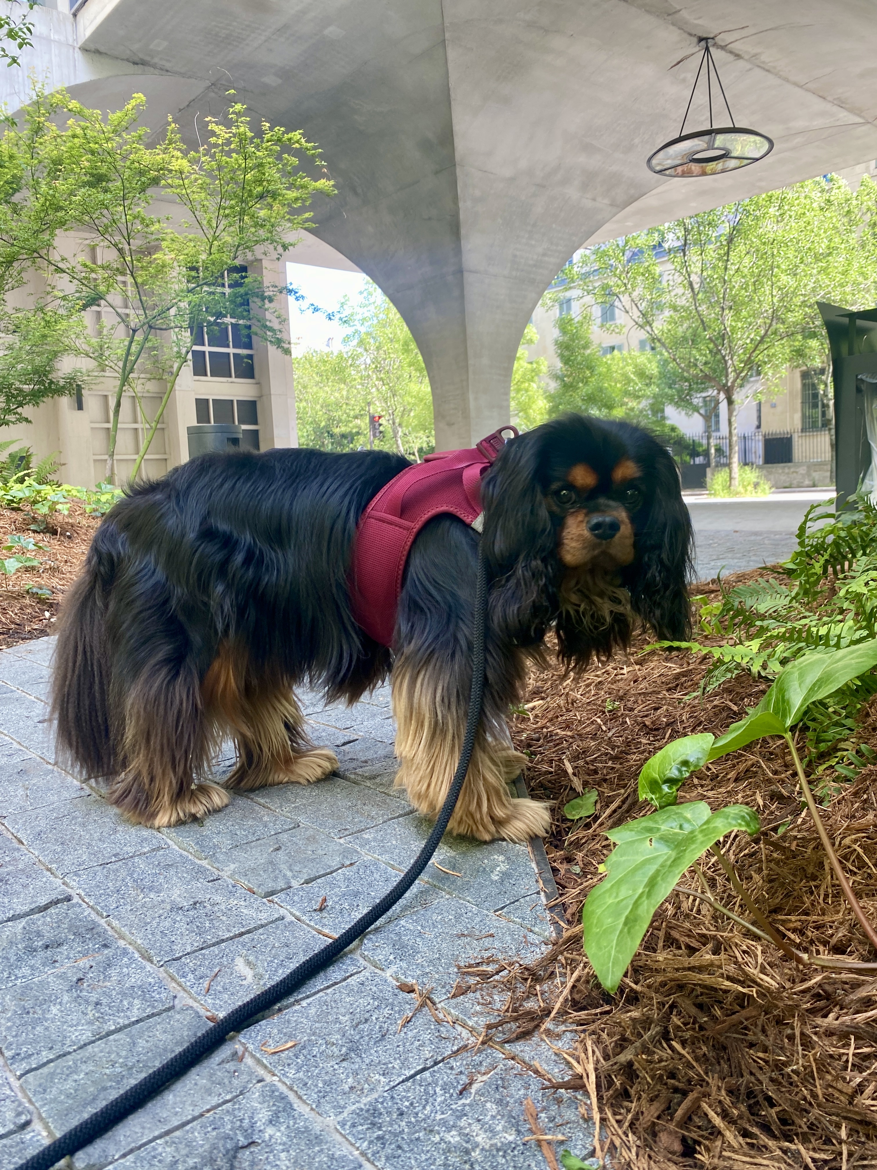 image-49