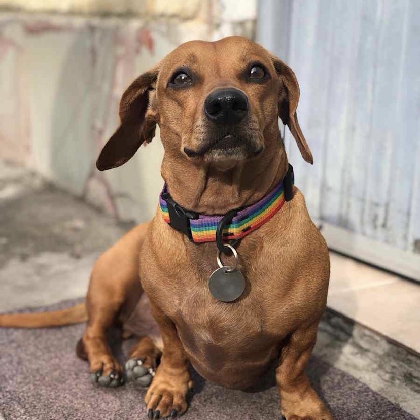 COCO