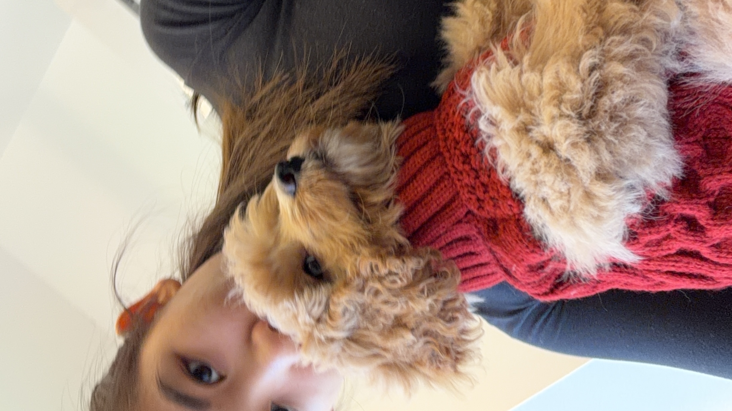 image-7