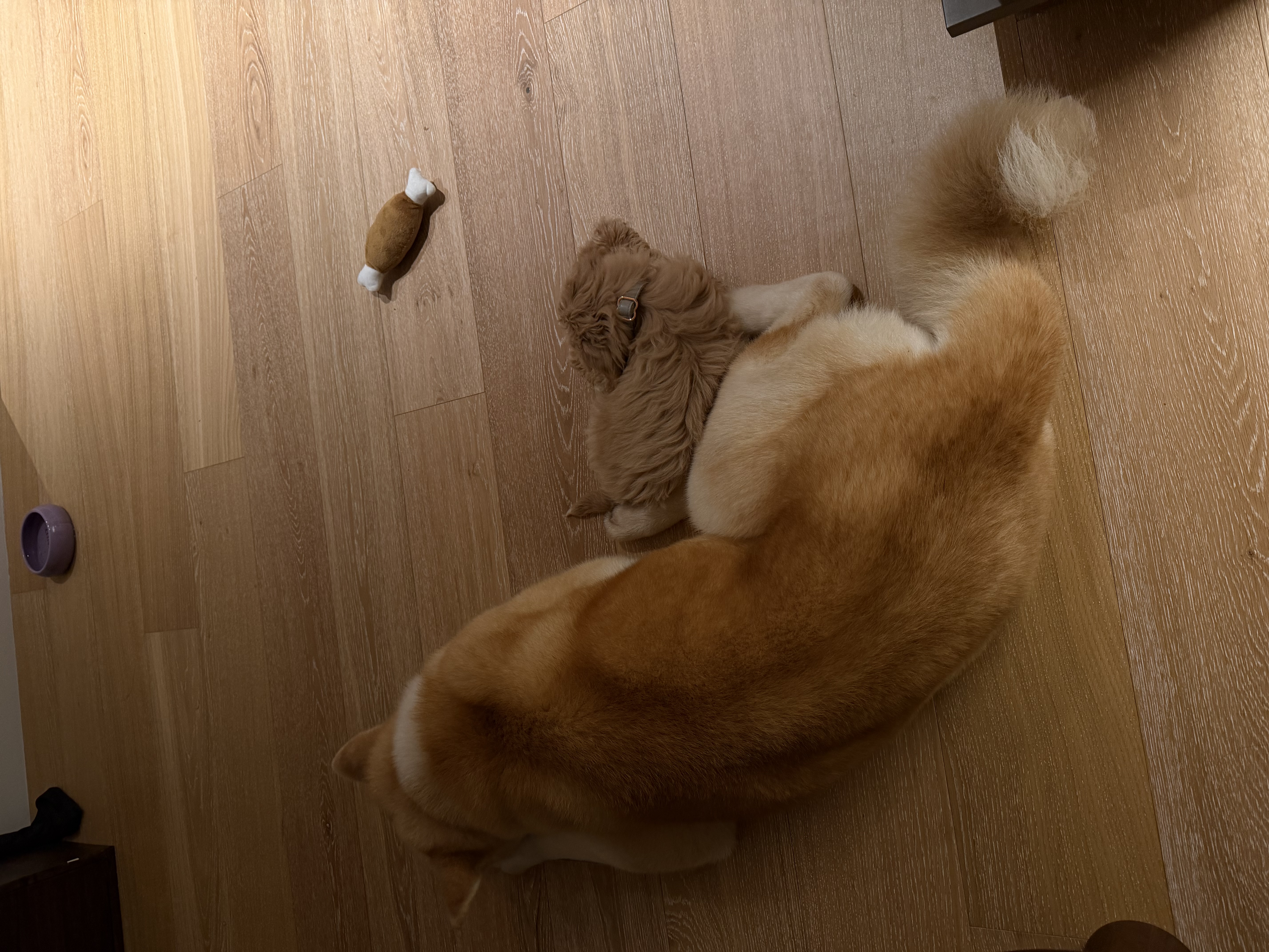 image-16