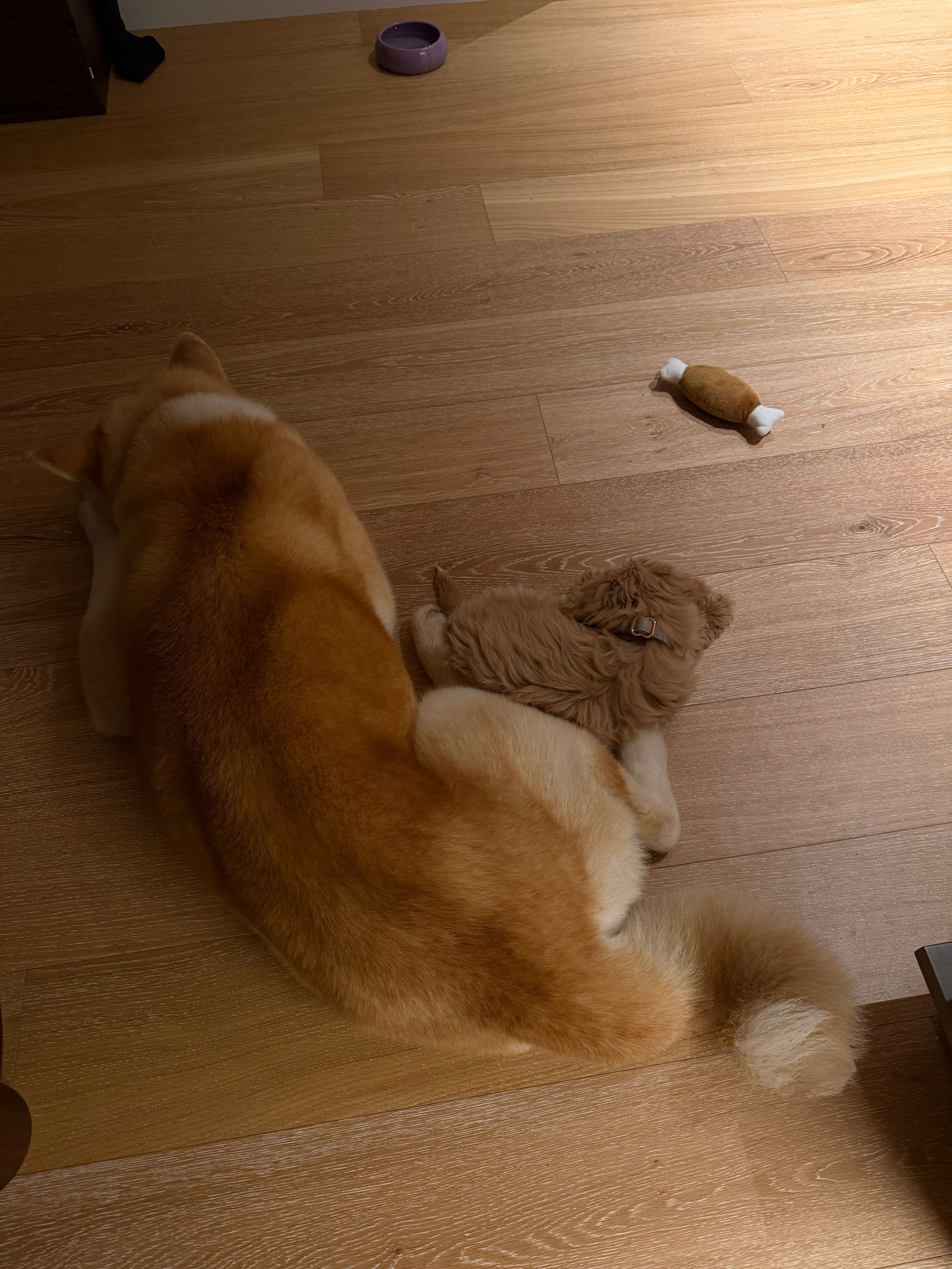image-16
