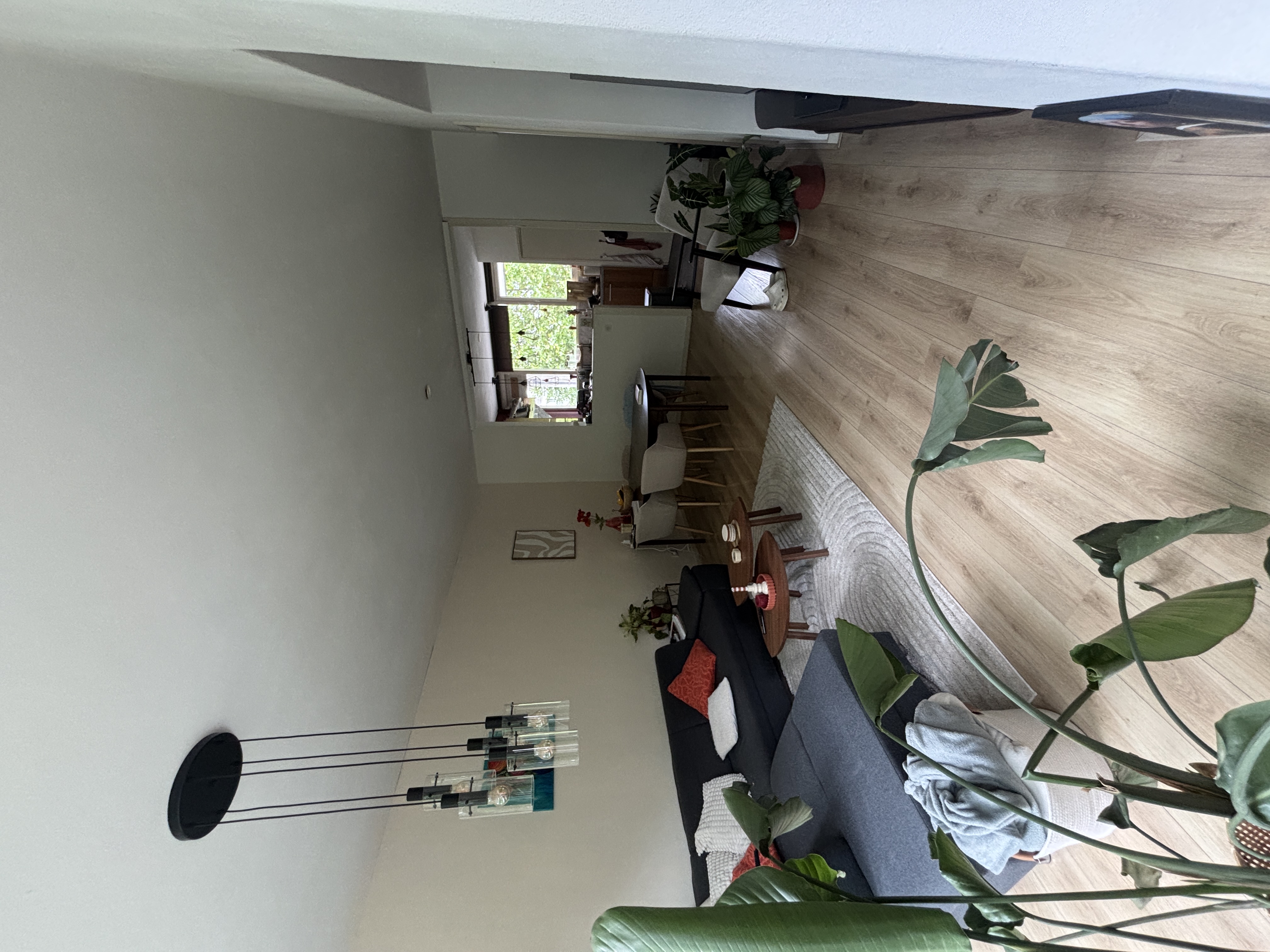 image-29