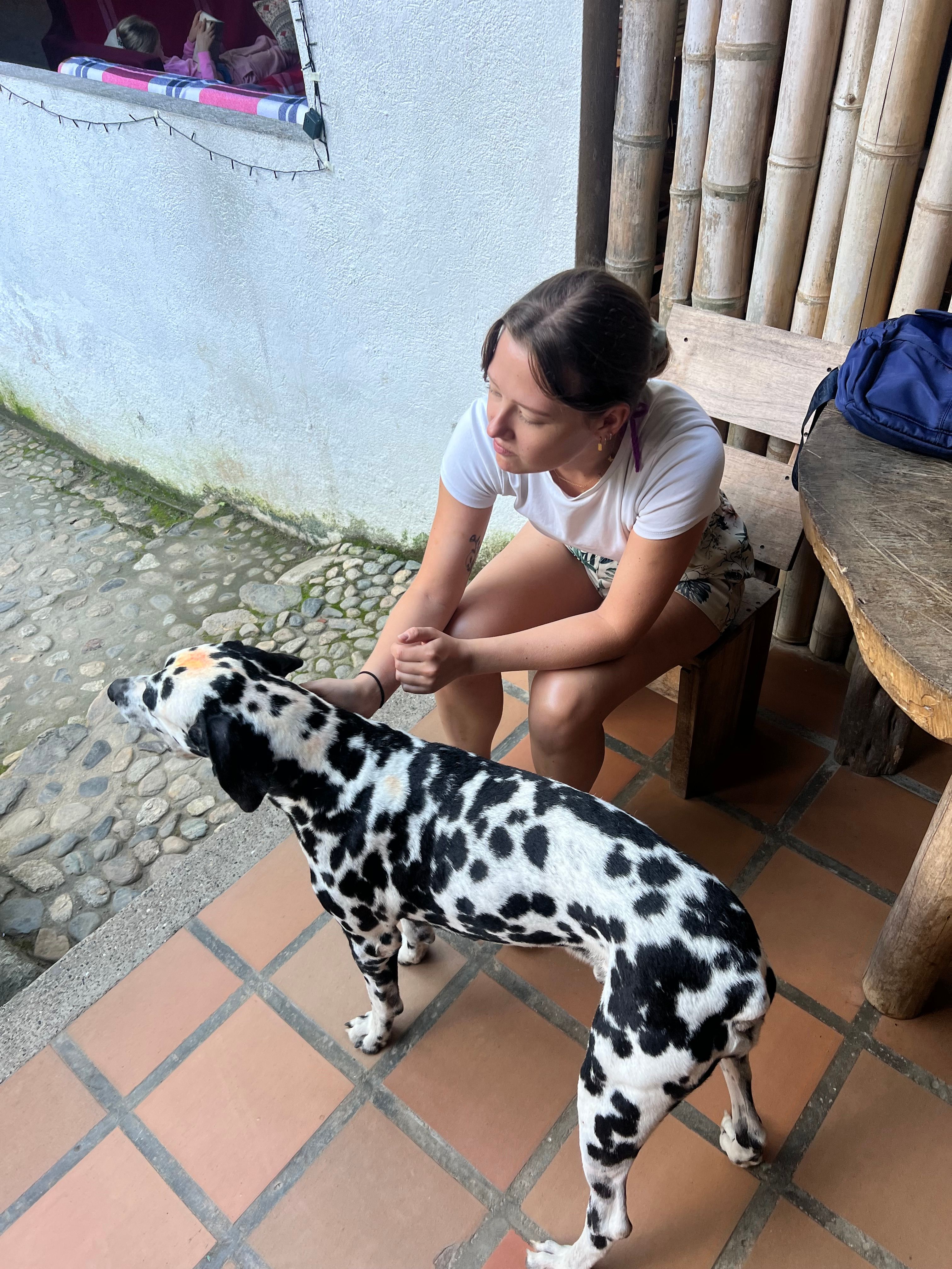 image-28
