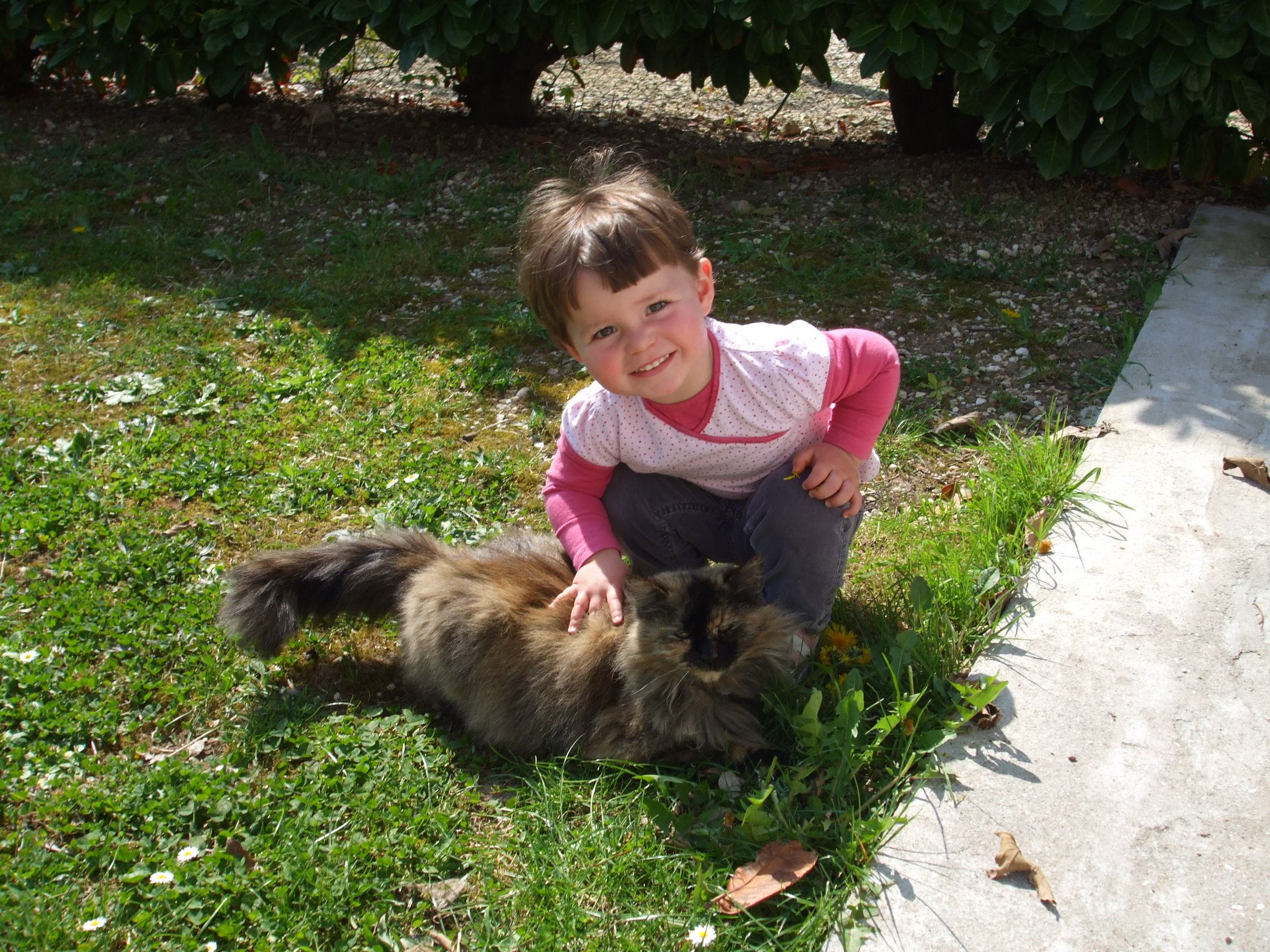 image-8